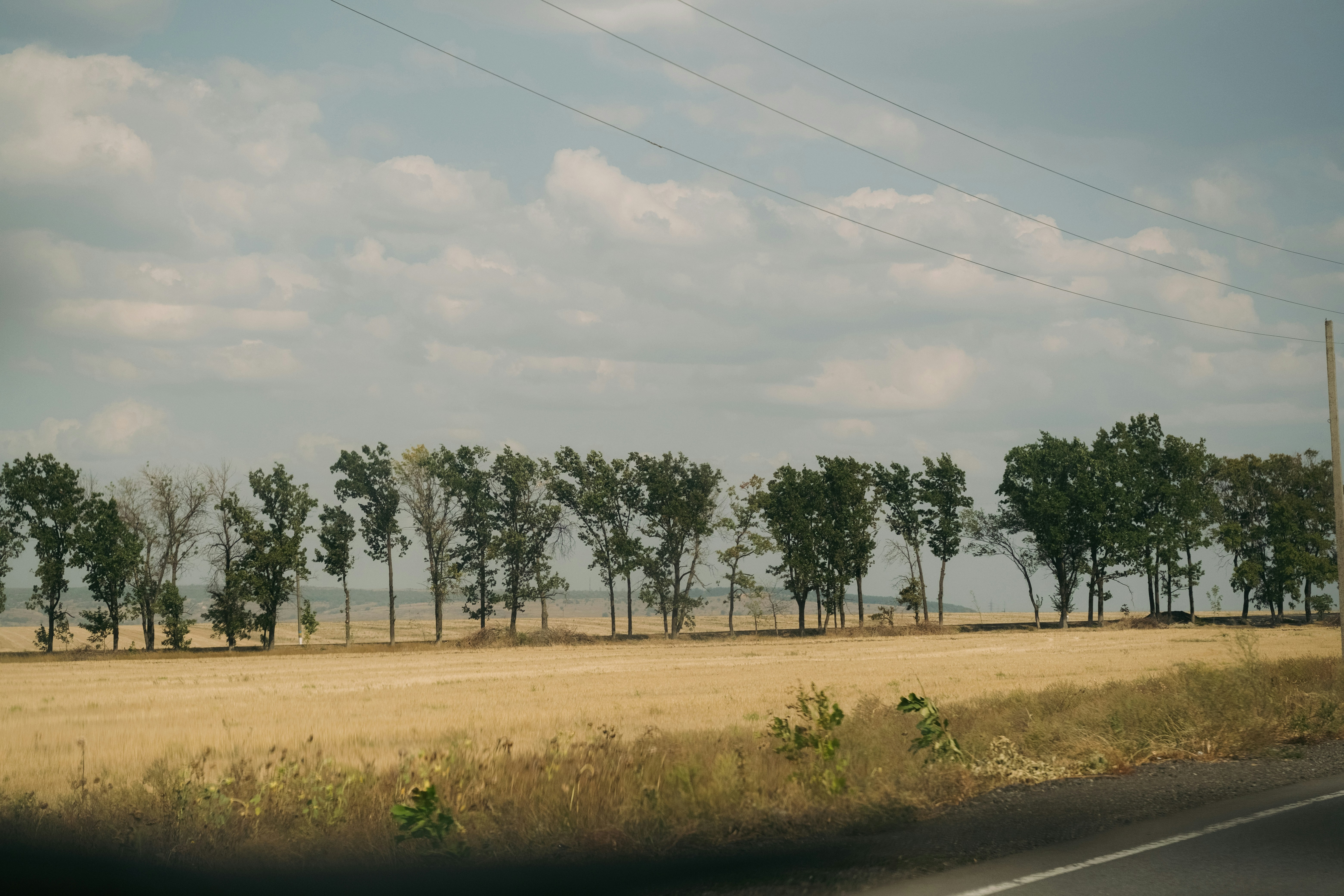 Photo by tobolenkoph