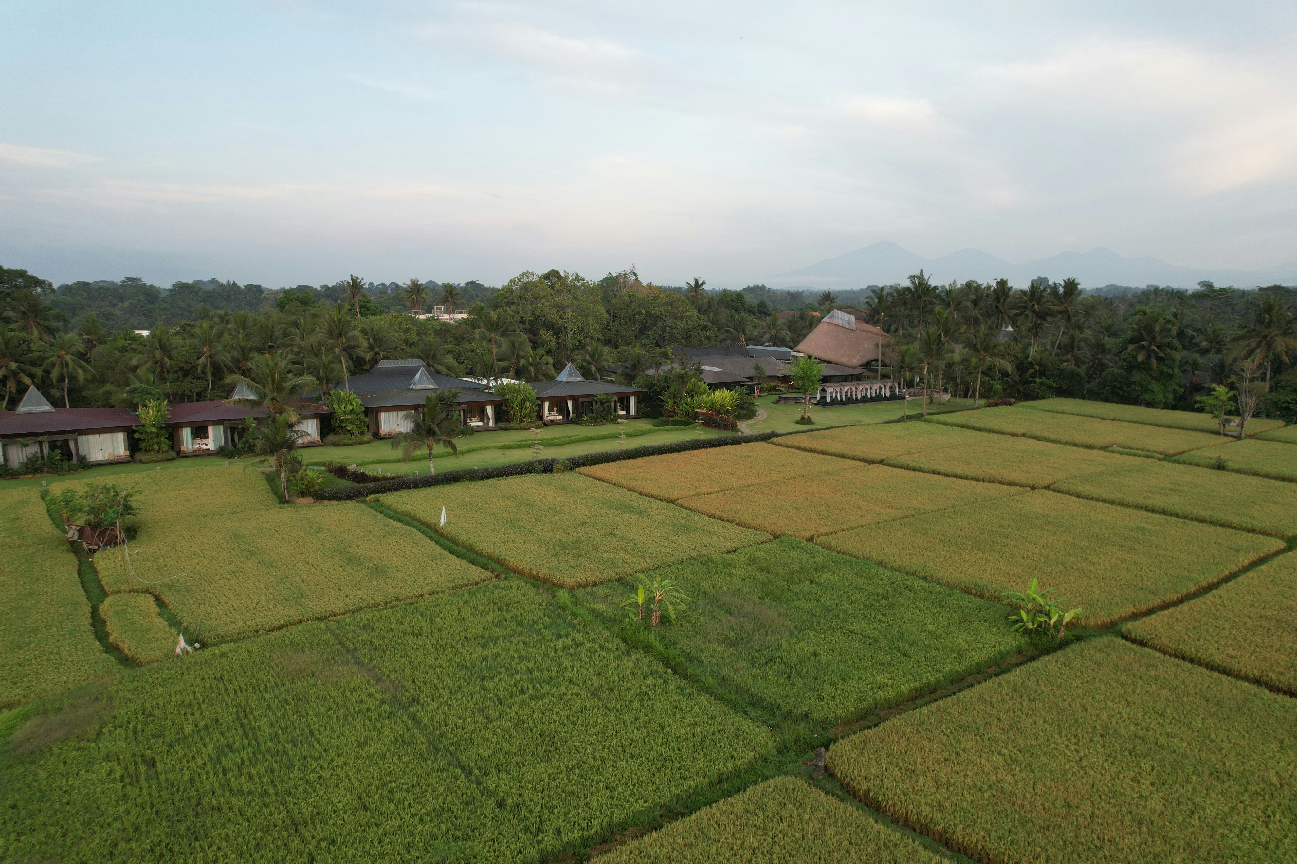 Photo by antonioaaaraujo