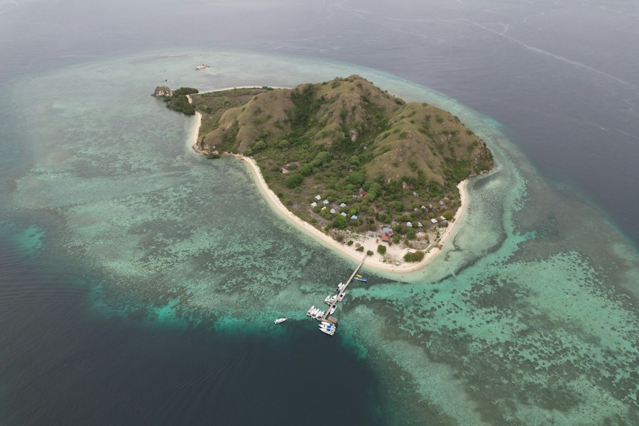 Komodo: Home of the World's Largest Living Lizard