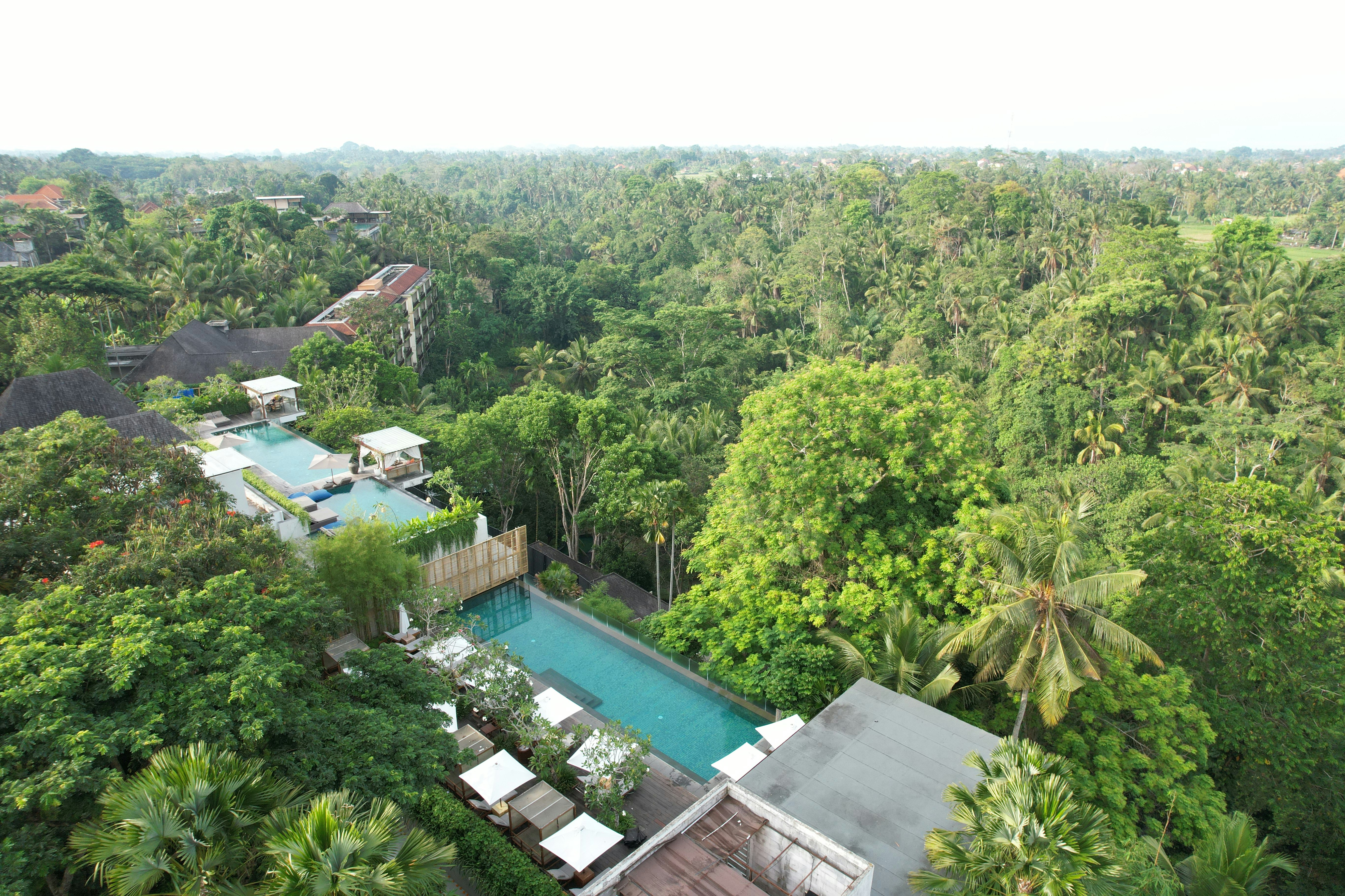 An aerial view of a house surrounded by trees, 