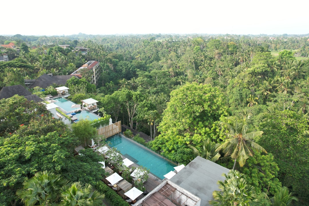 An aerial view of a house surrounded by trees,