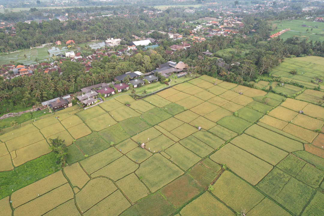 5-Day Family Itinerary for Ubud, Bali | Kid-Friendly Guide