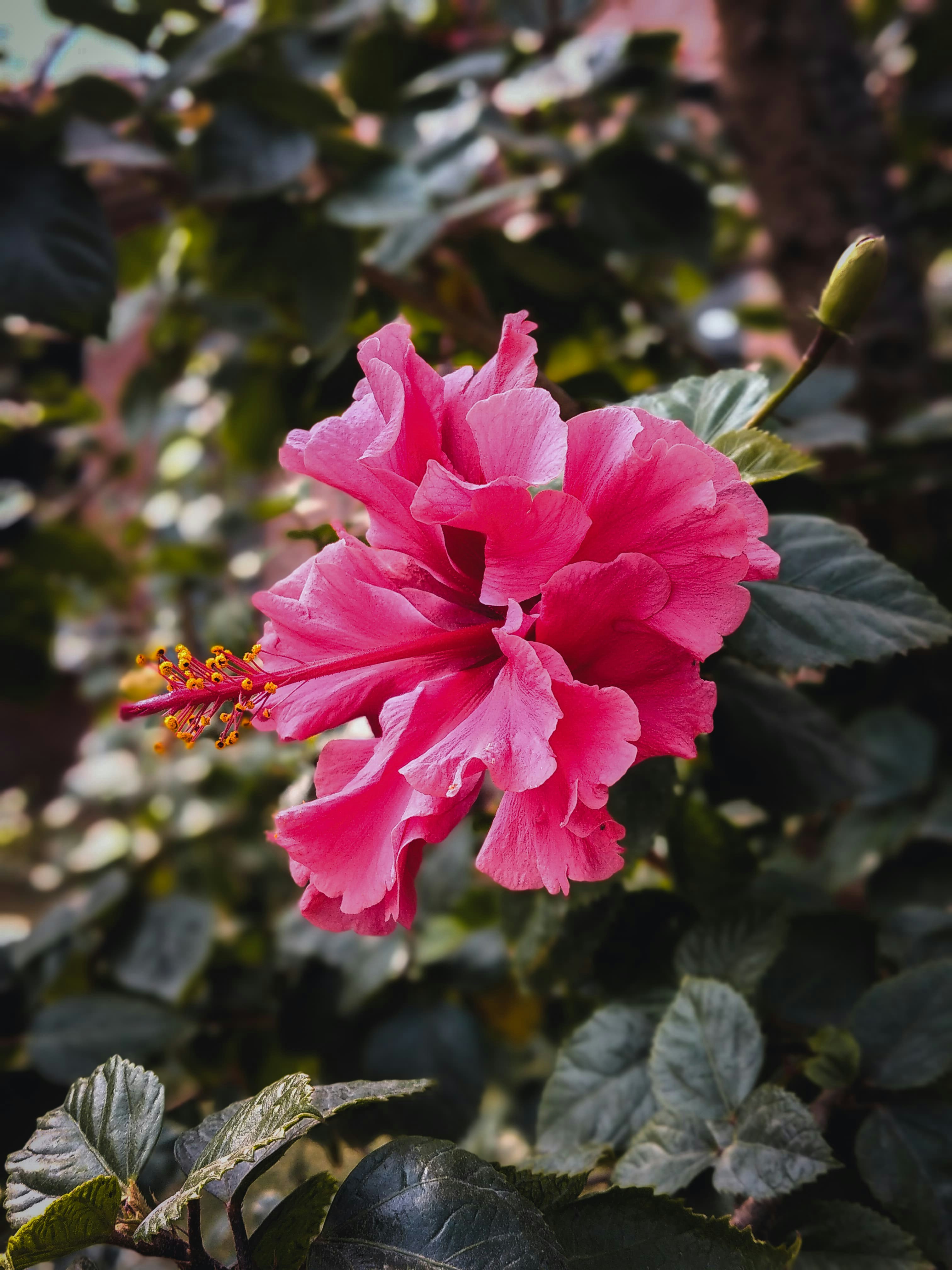 Photo by forever_knight