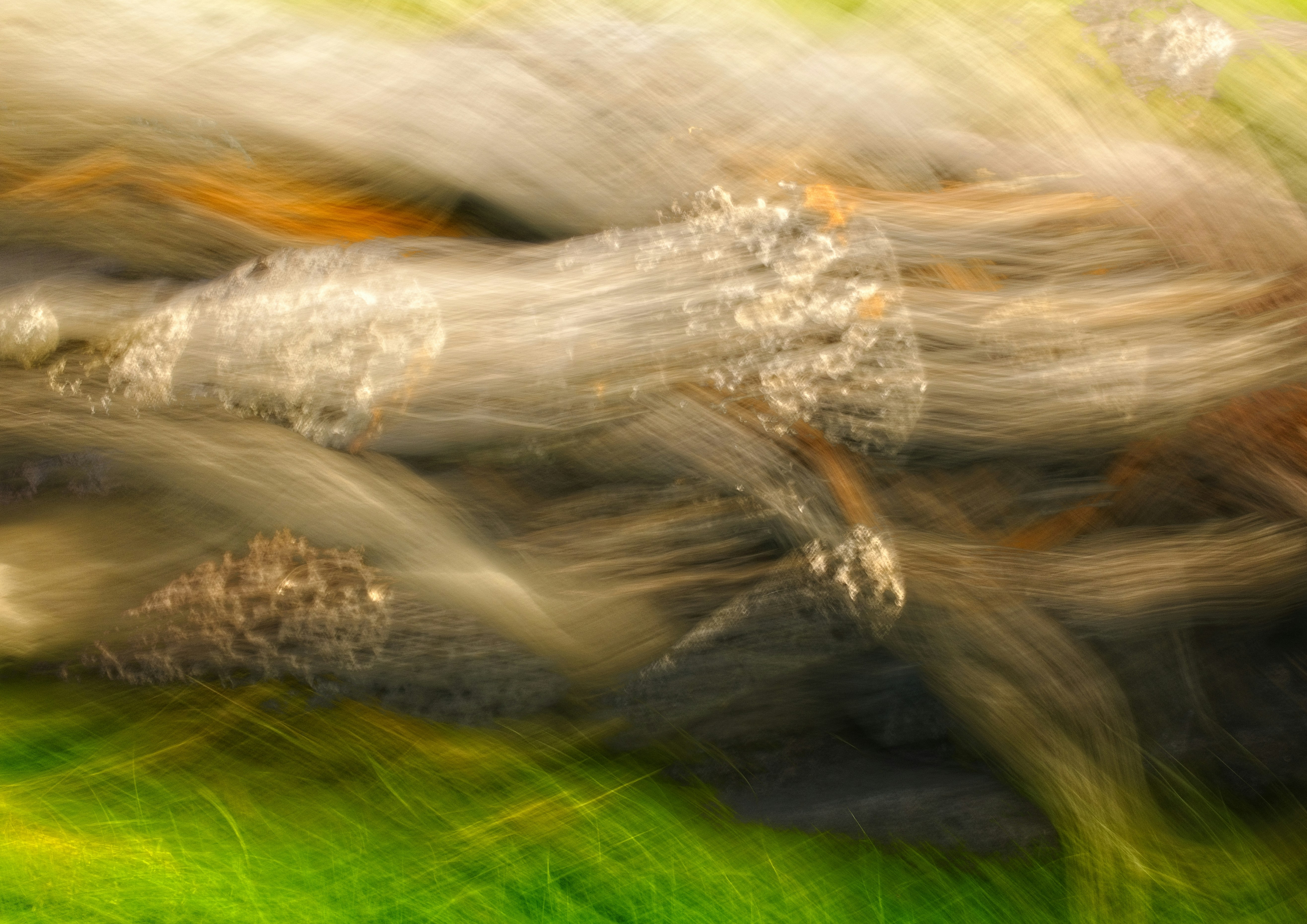 Photo by robert_clark