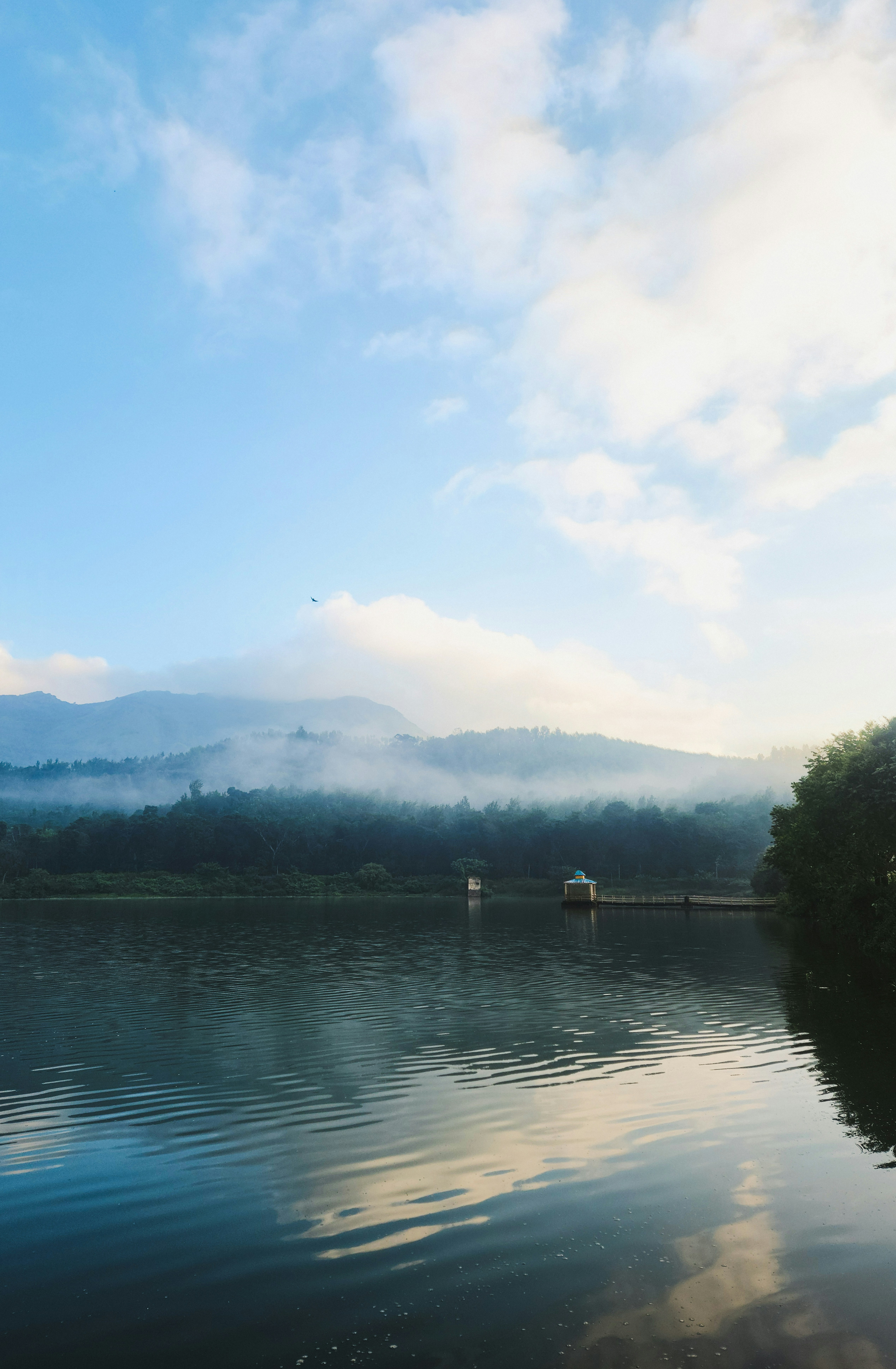 Photo by piyanshusharma