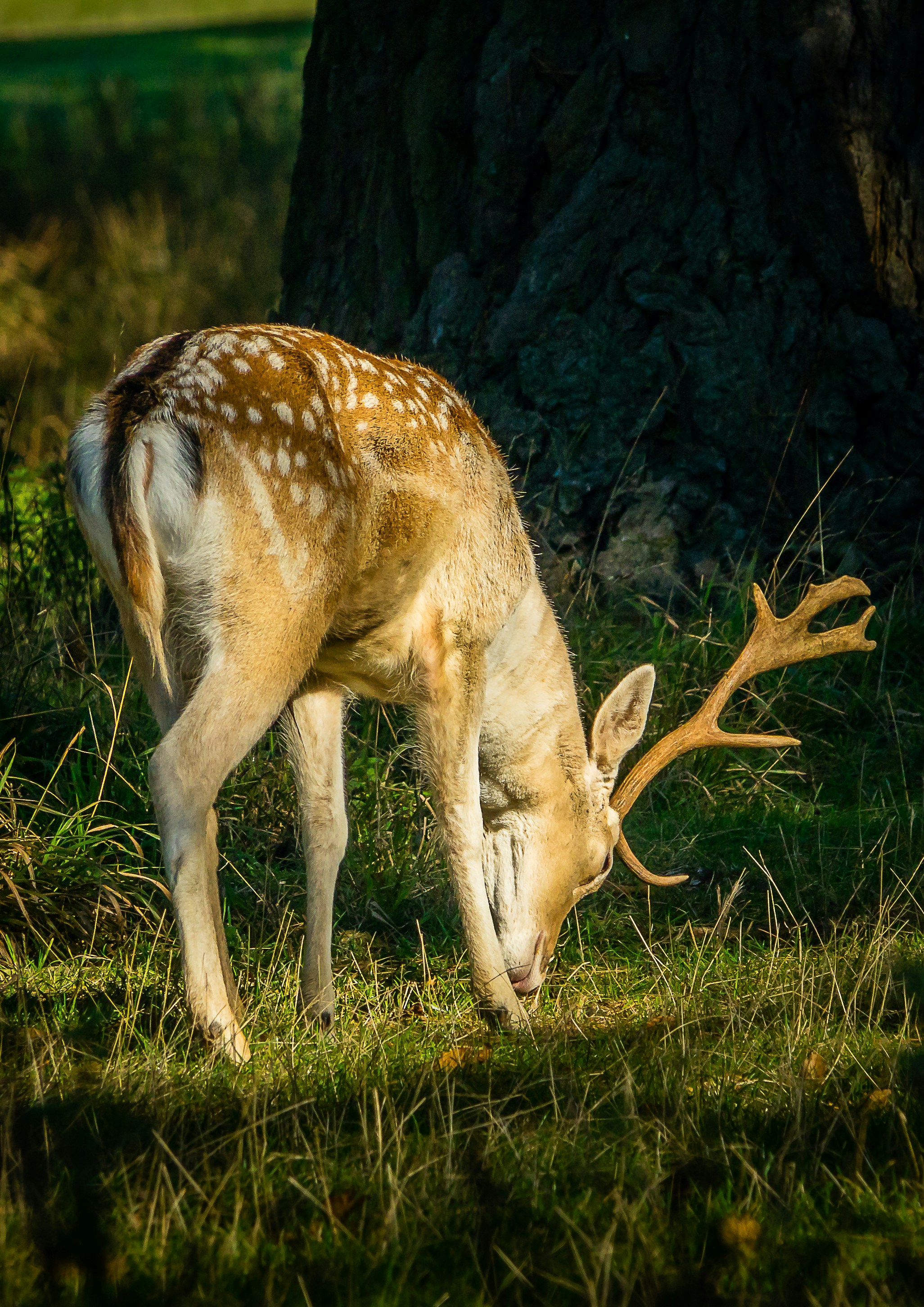 Photo by norfolkboy14