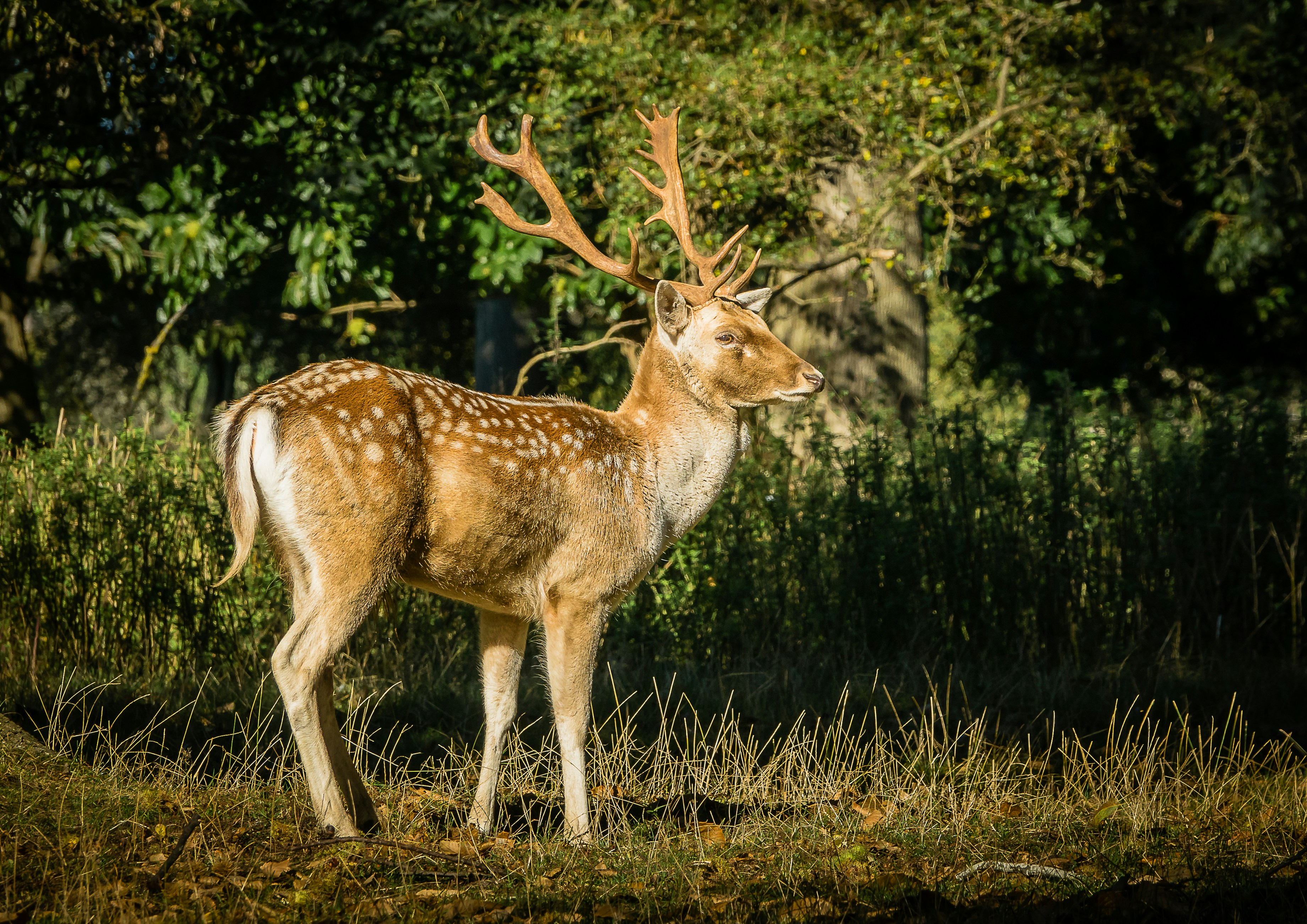 Photo by norfolkboy14