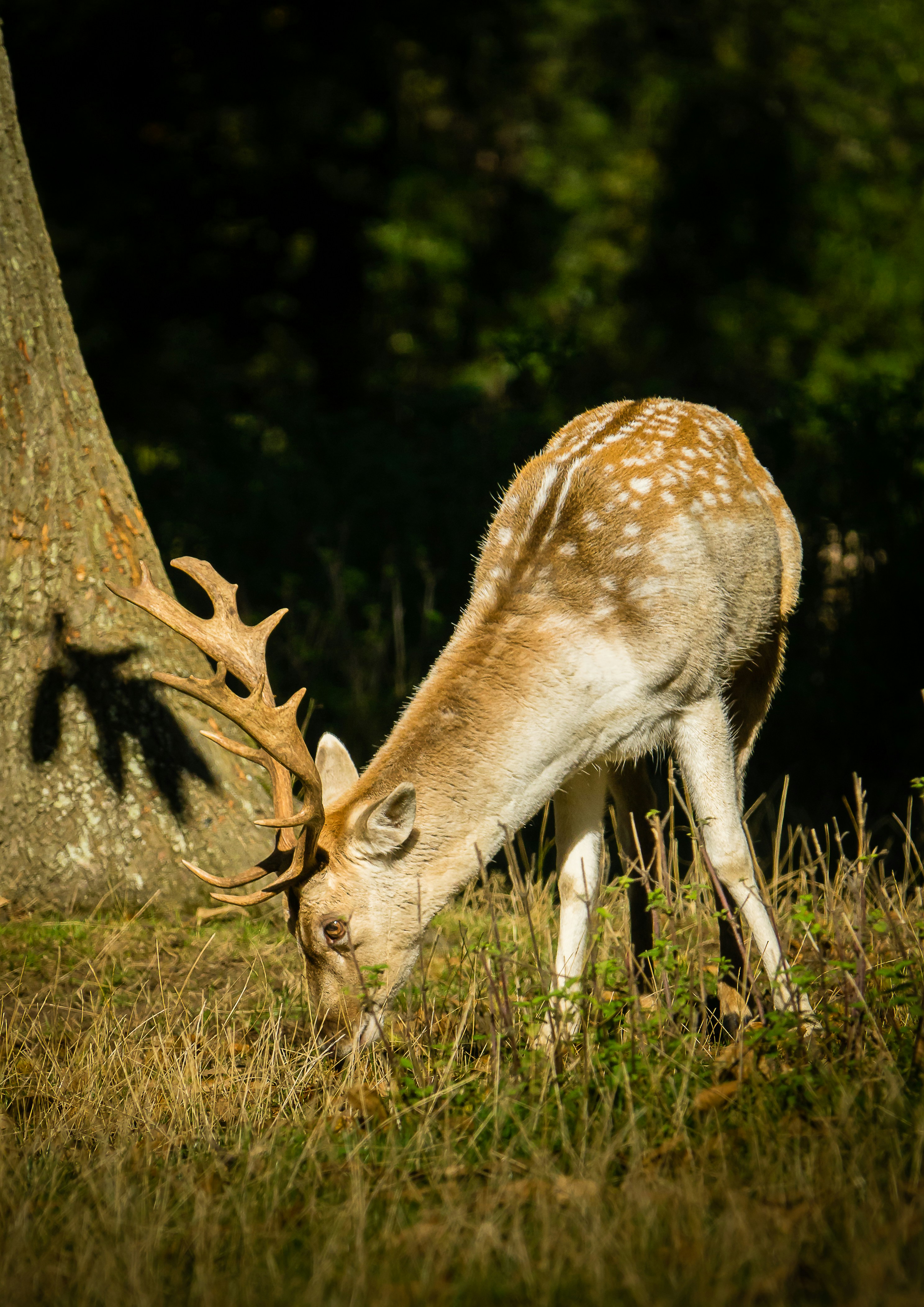 Photo by norfolkboy14