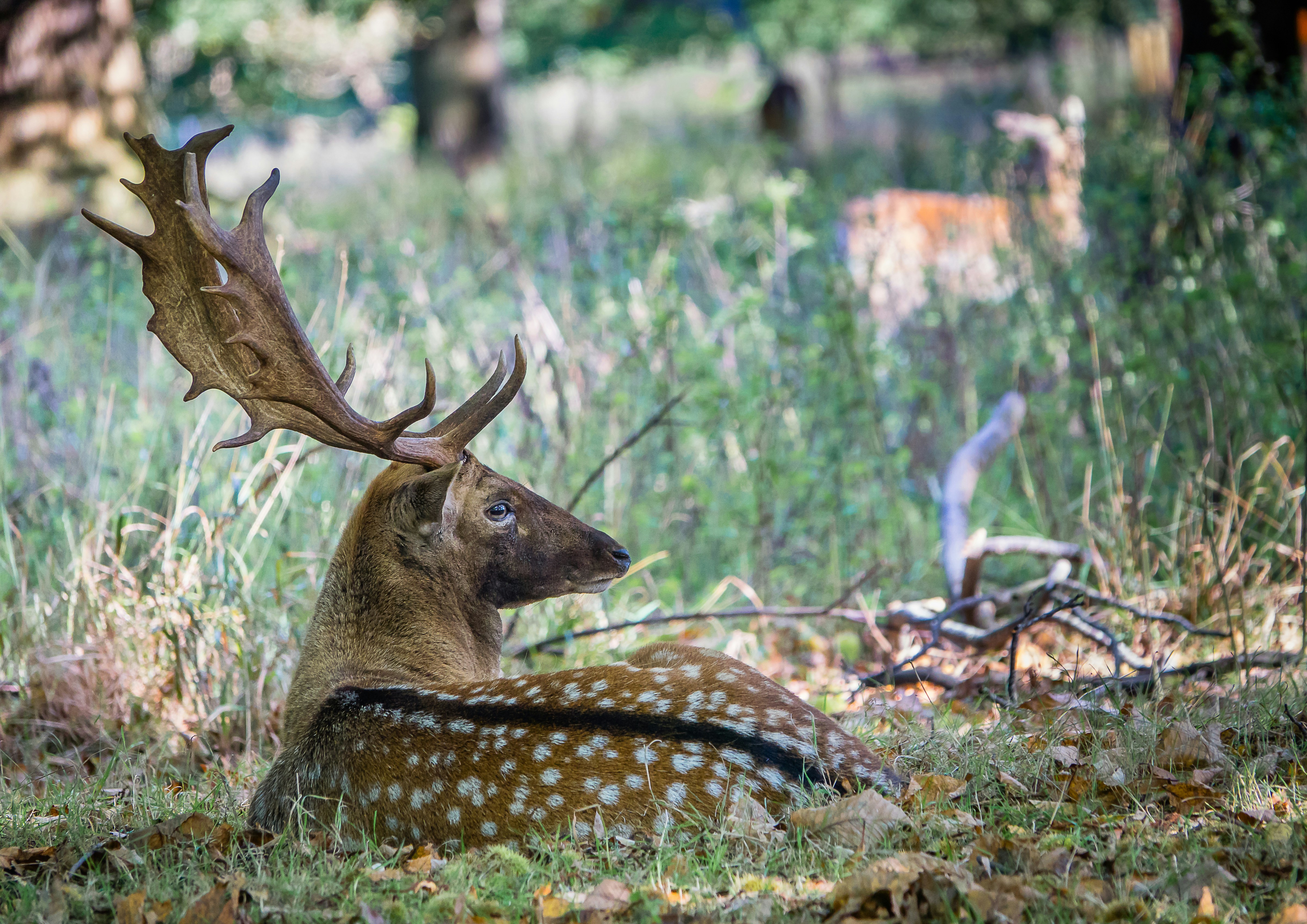 Photo by norfolkboy14