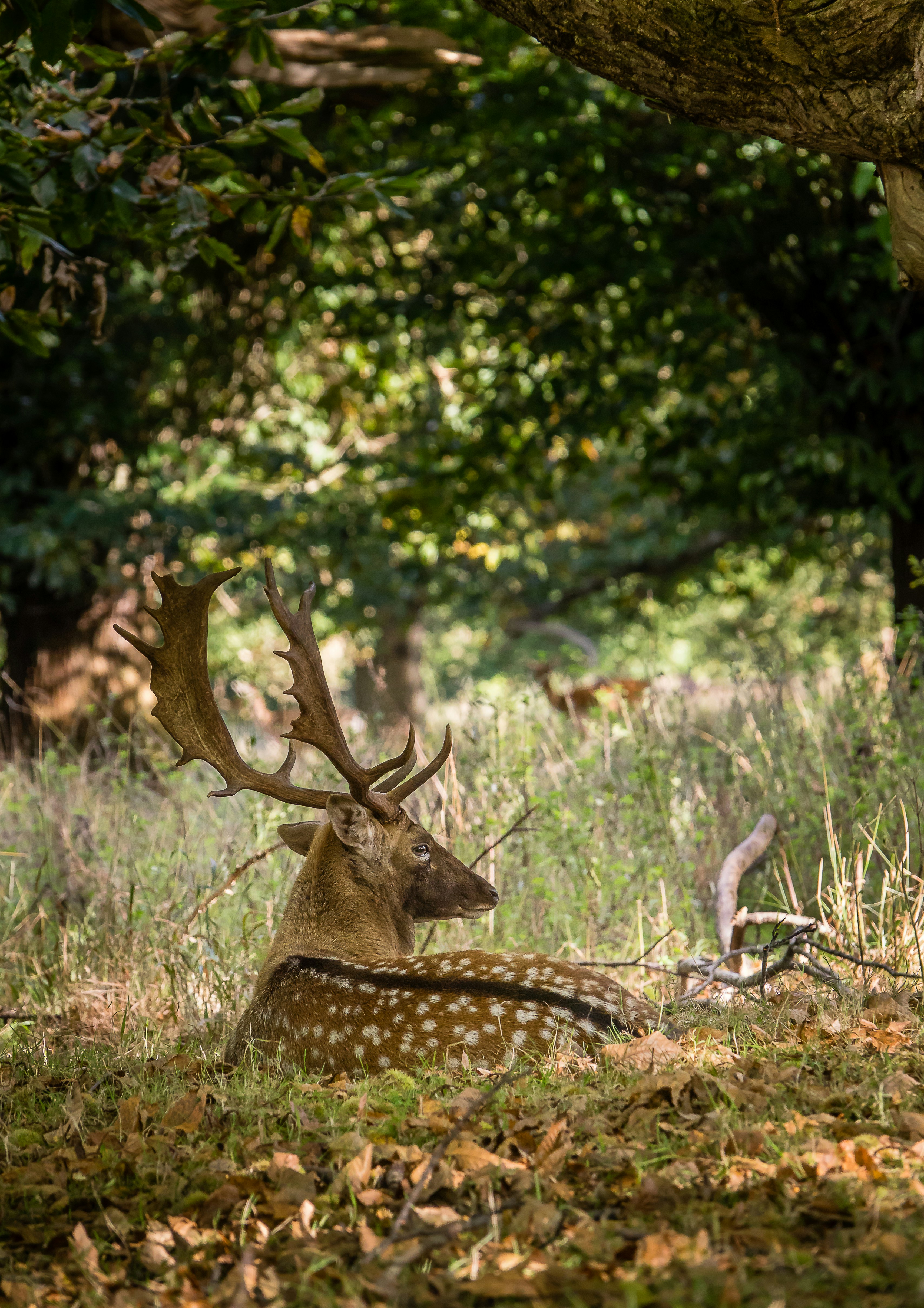 Photo by norfolkboy14