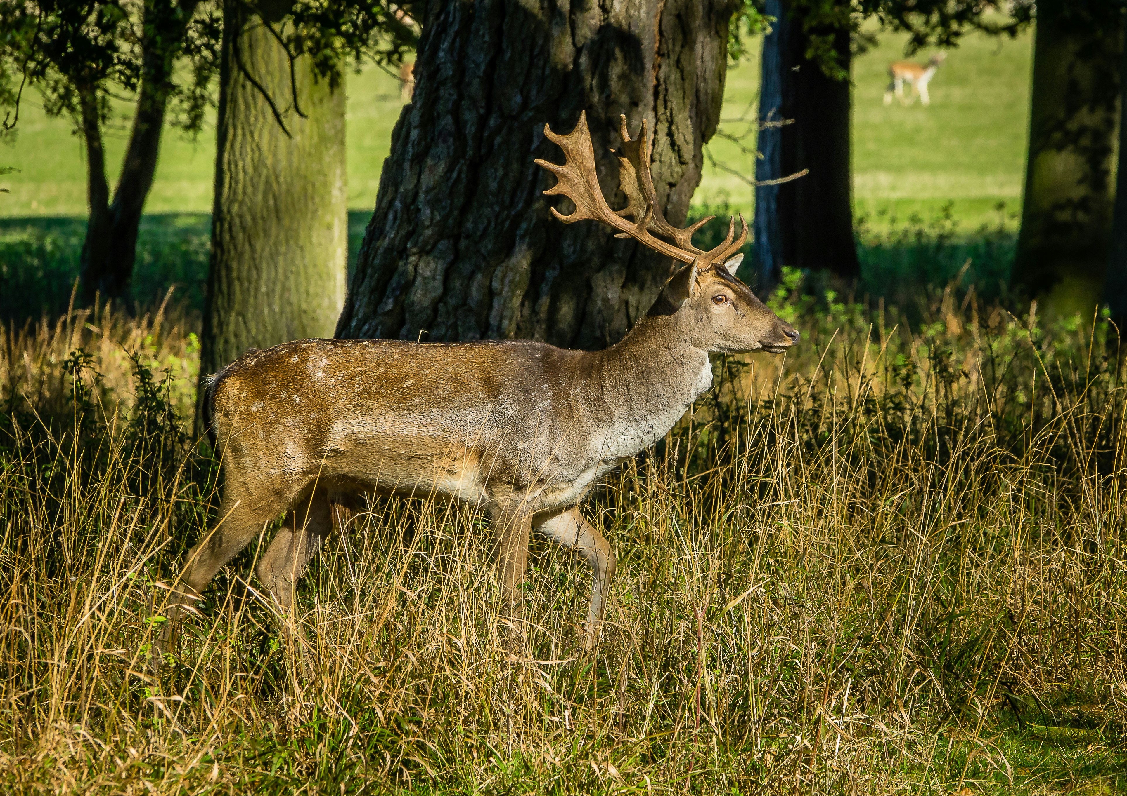 Photo by norfolkboy14