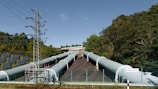 A large pipe sitting next to a forest filled with trees