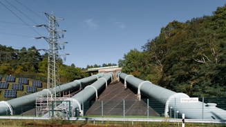 A large pipe sitting next to a forest filled with trees