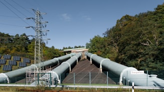 A large pipe sitting next to a forest filled with trees