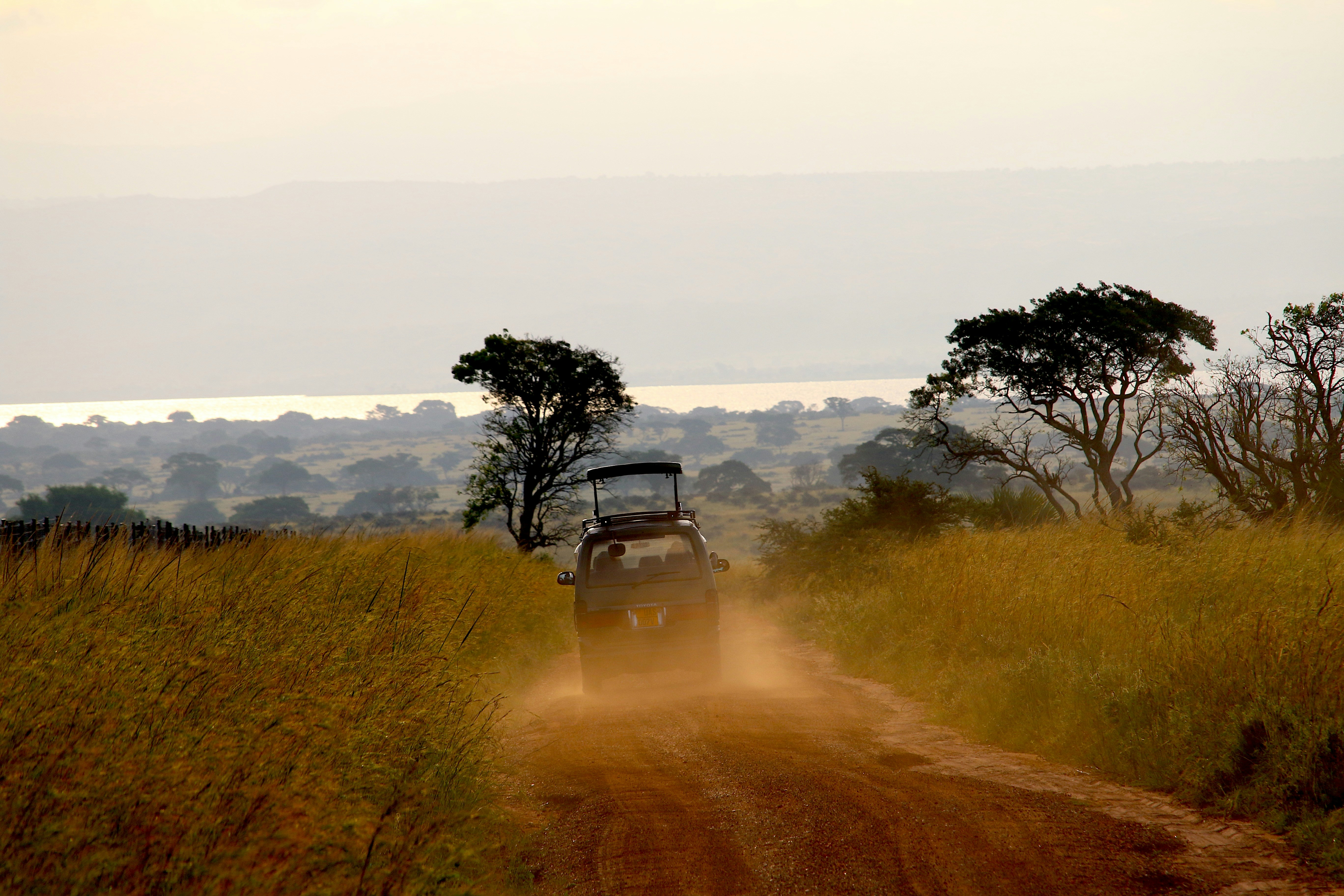 A jeep driving down a dirt road in the middle of a field
