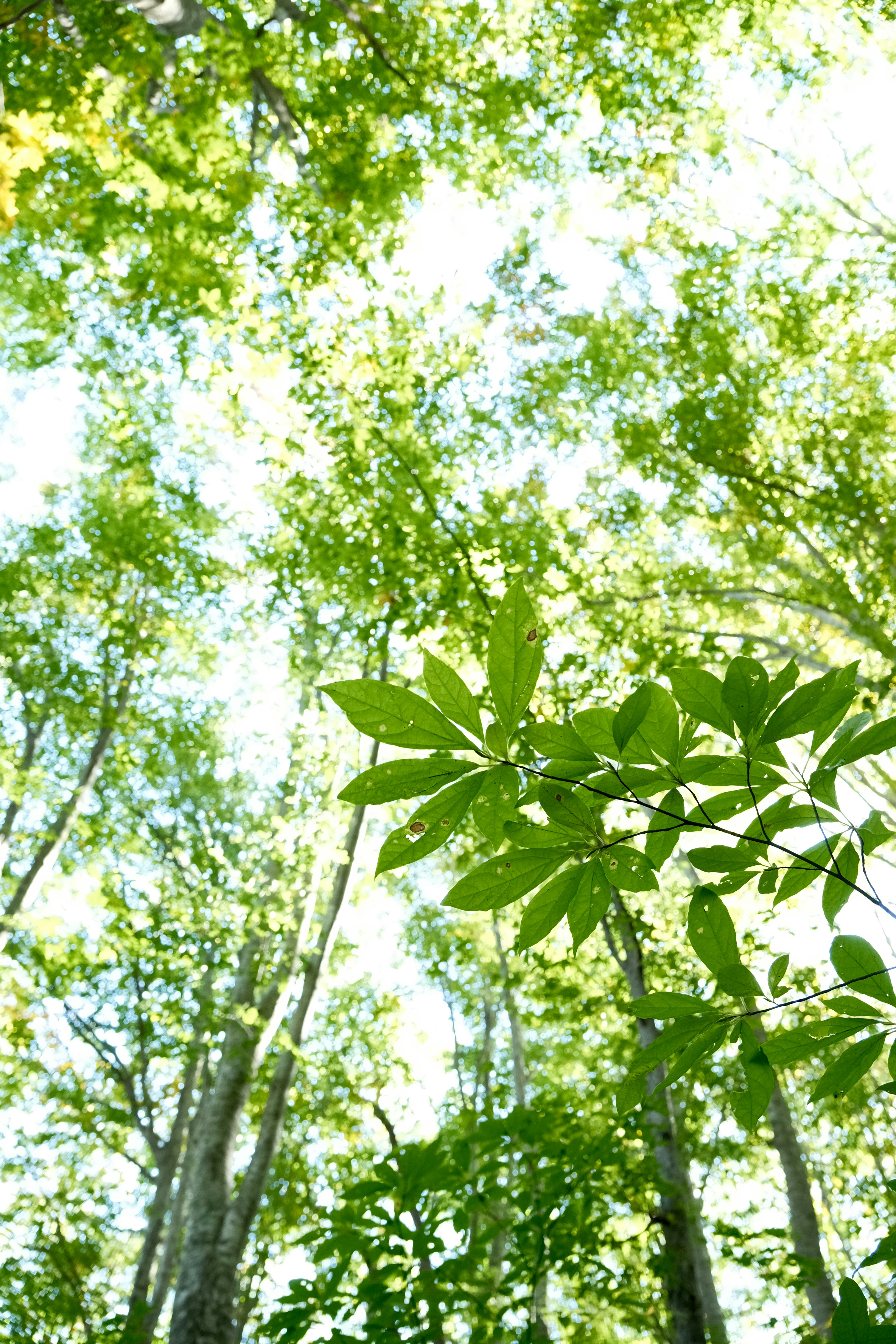 Photo by seiya_maeda