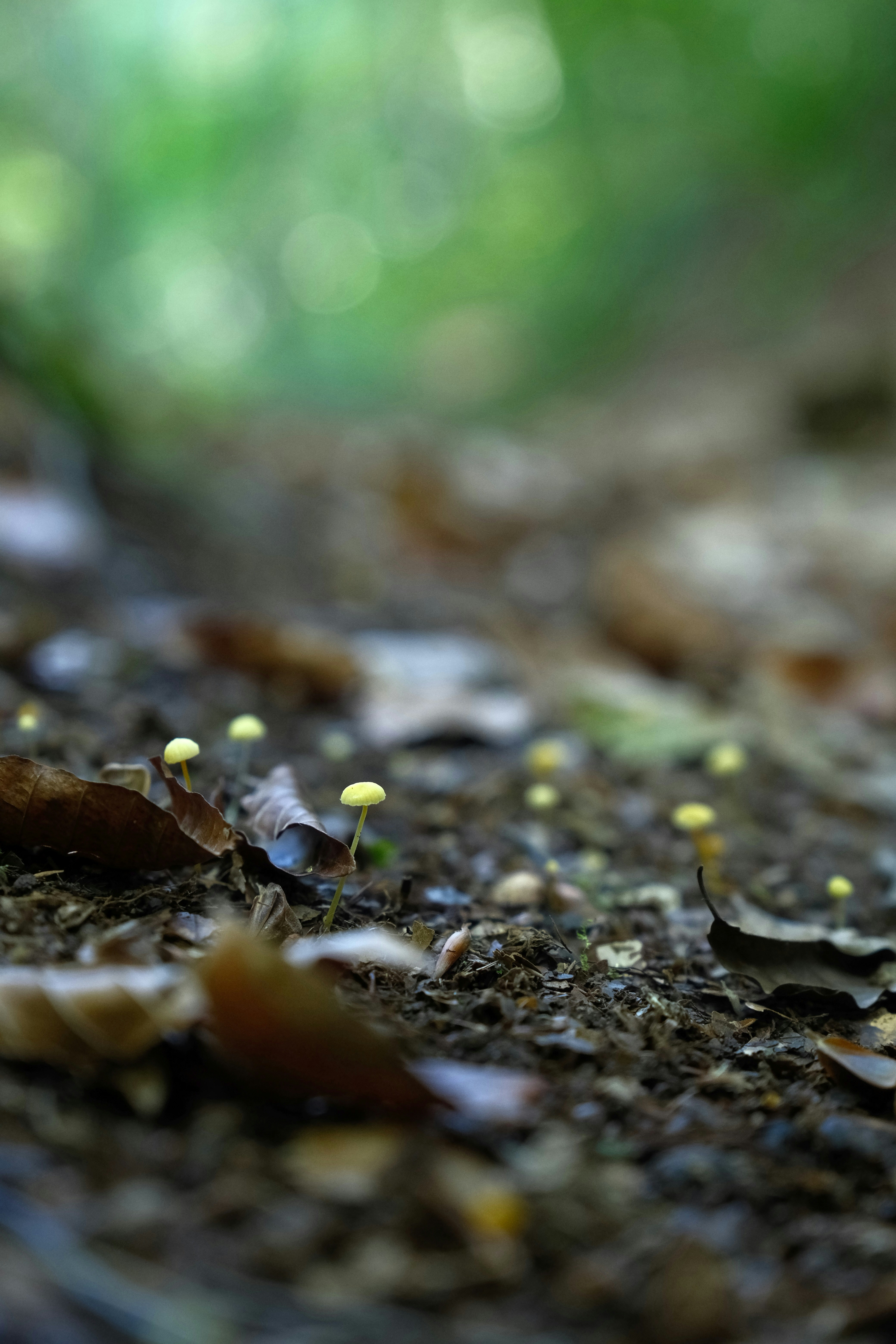 Photo by seiya_maeda