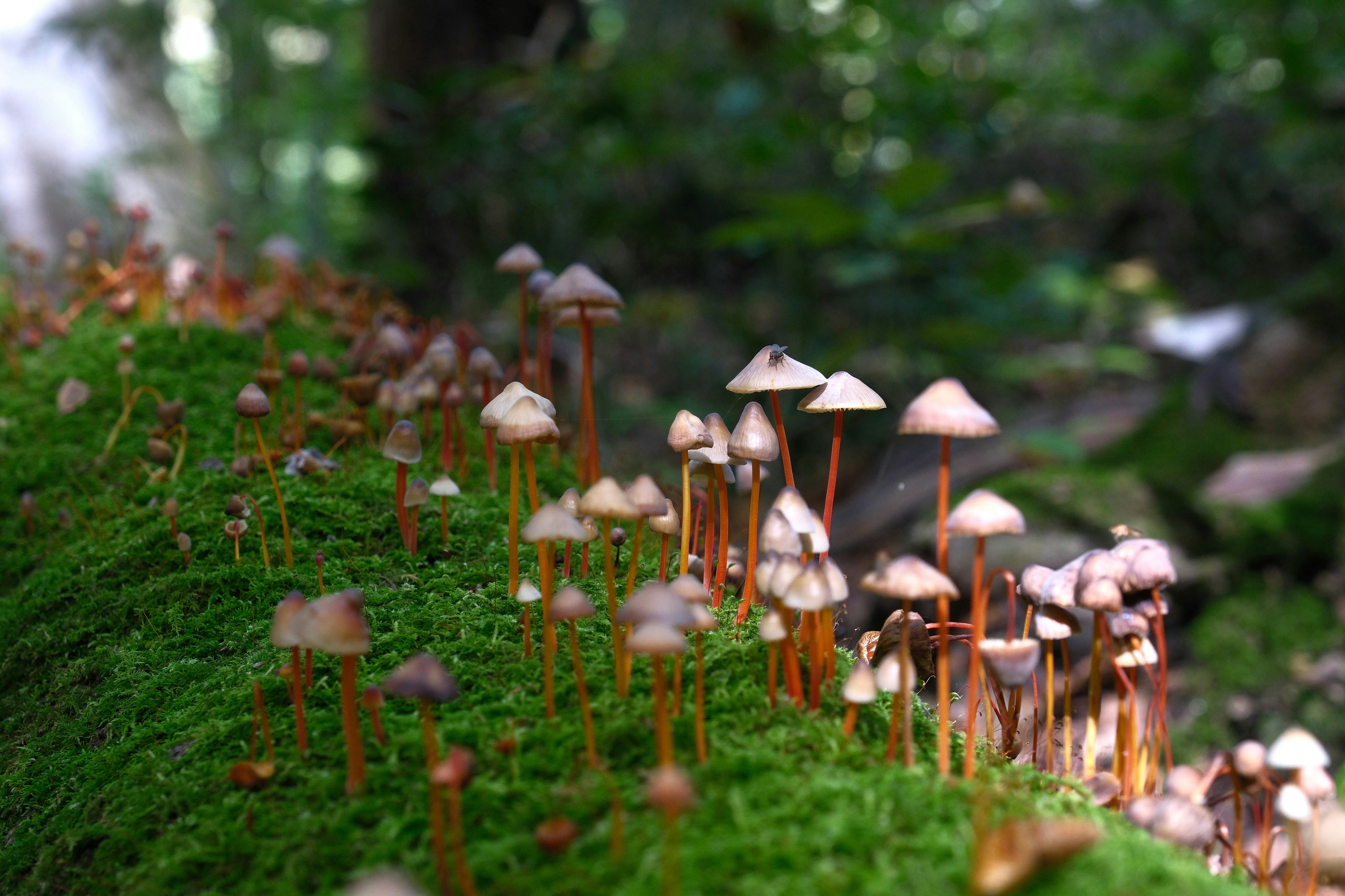 Photo by seiya_maeda