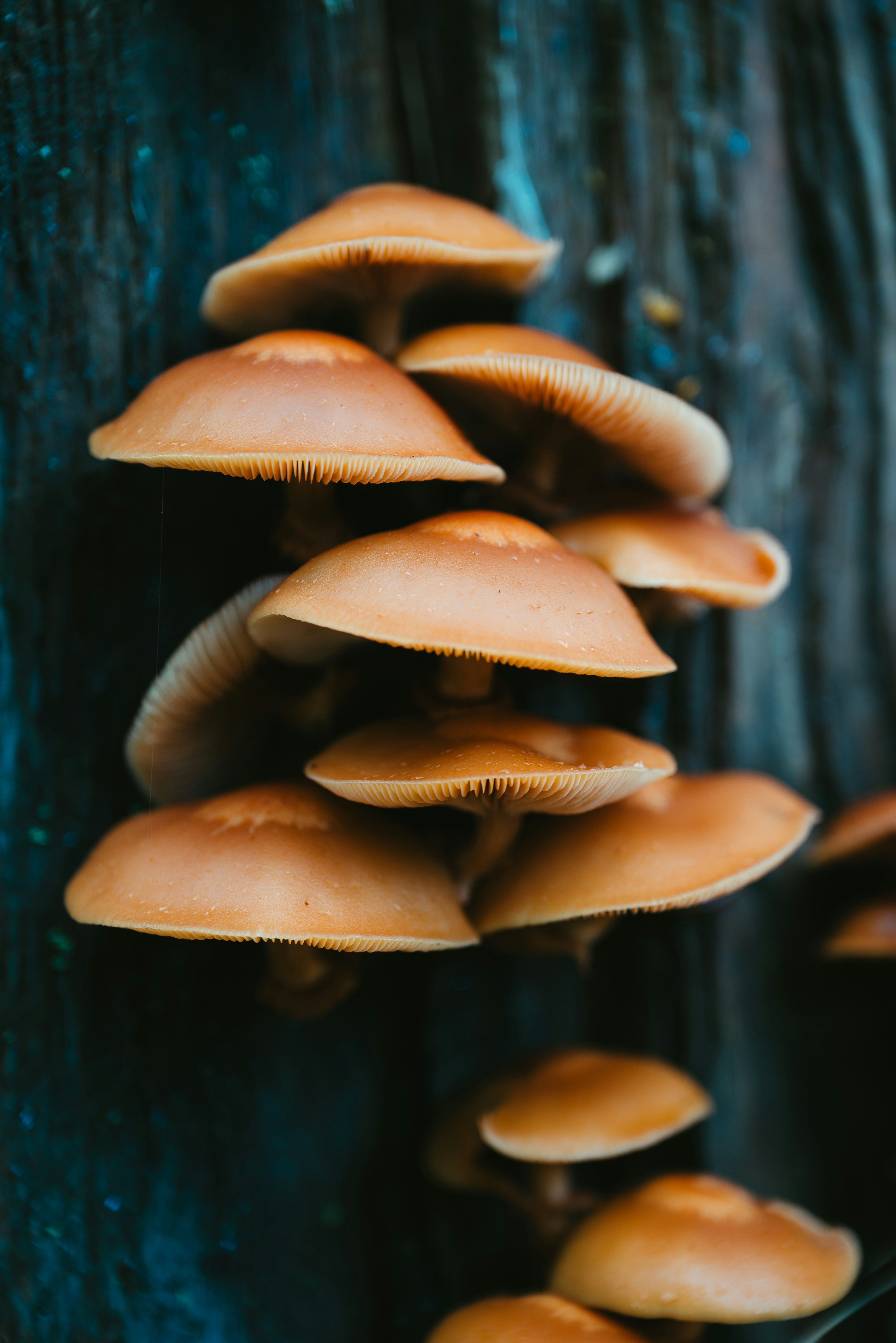 Photo by jetztabertempo