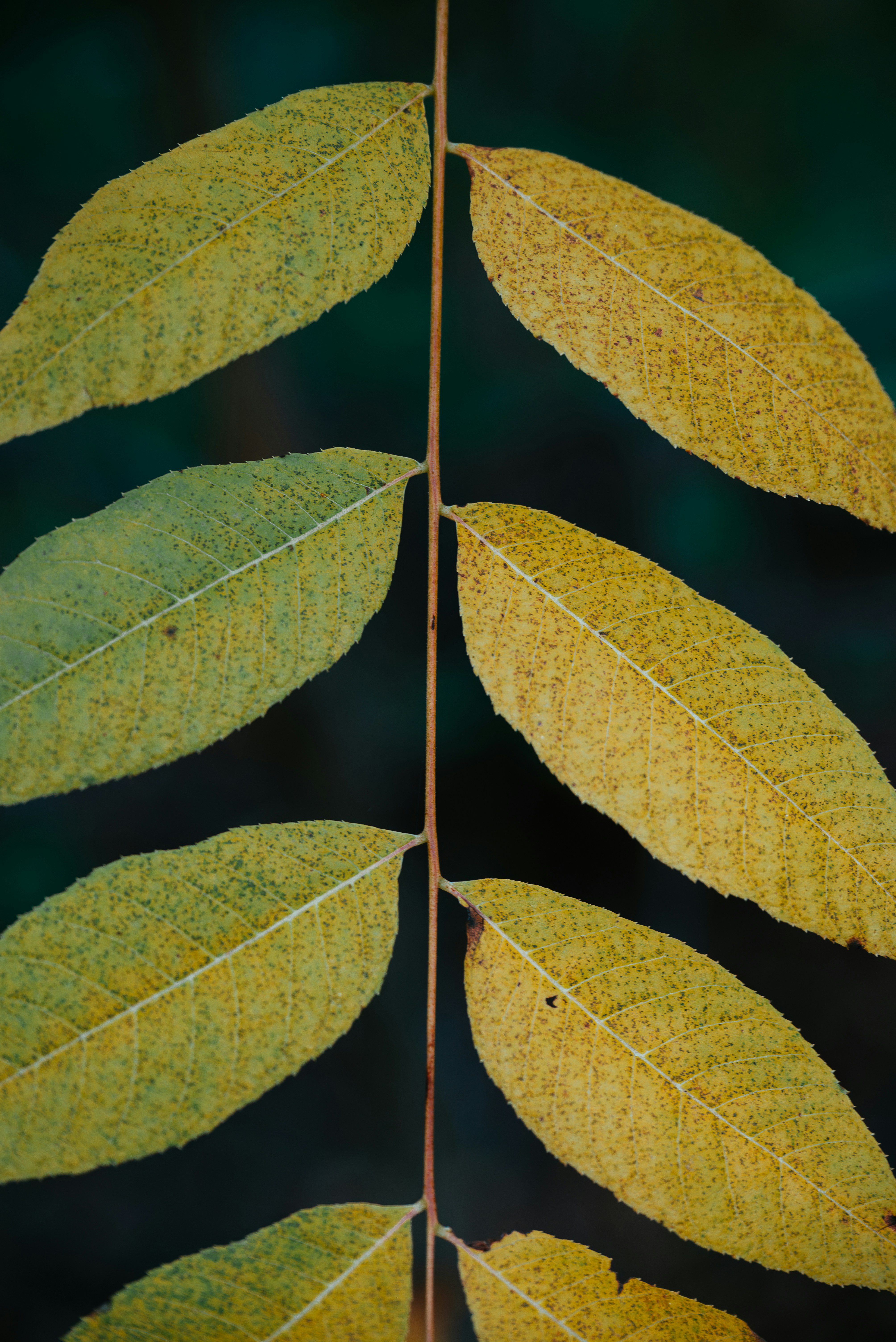 Photo by jetztabertempo