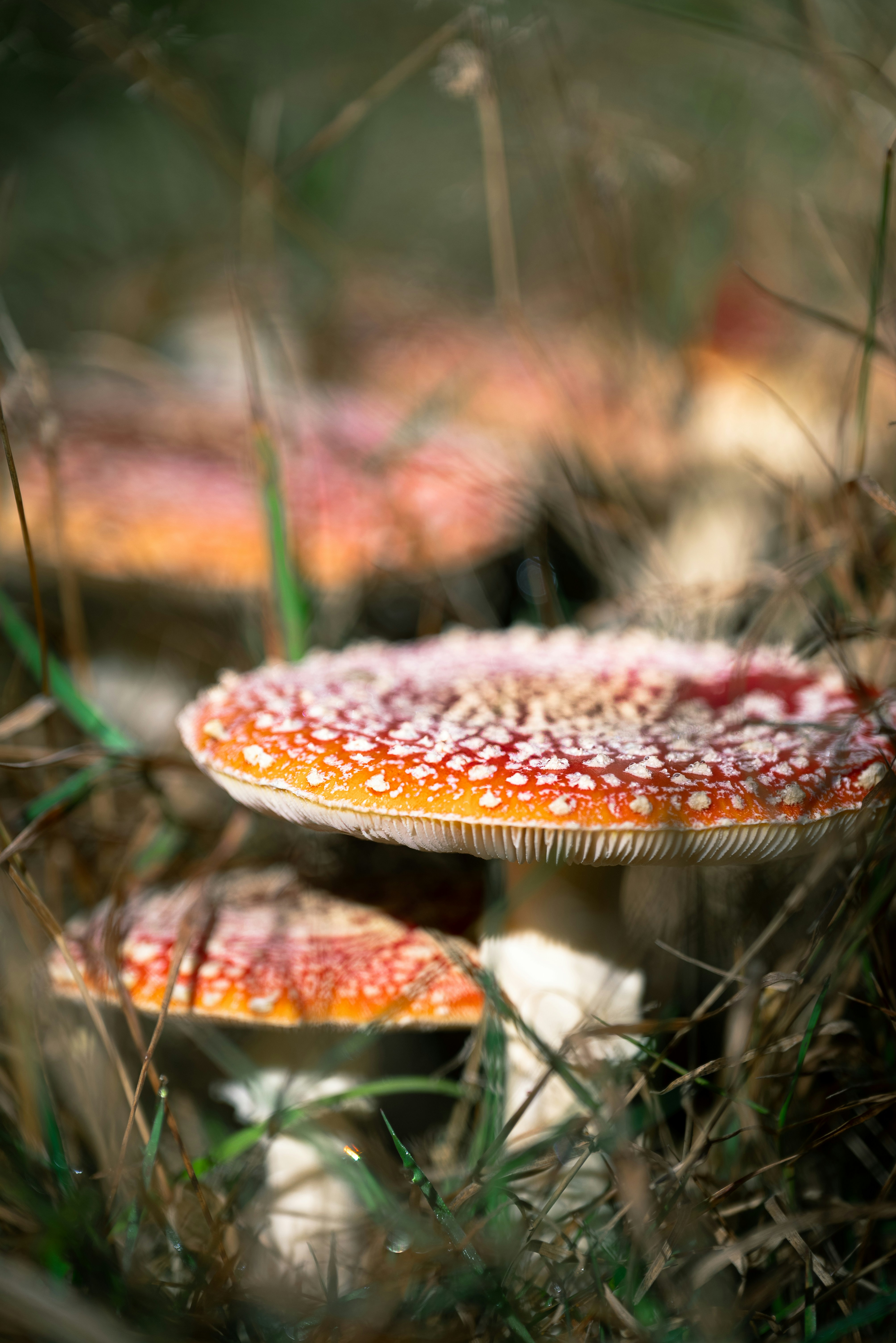 Photo by jetztabertempo