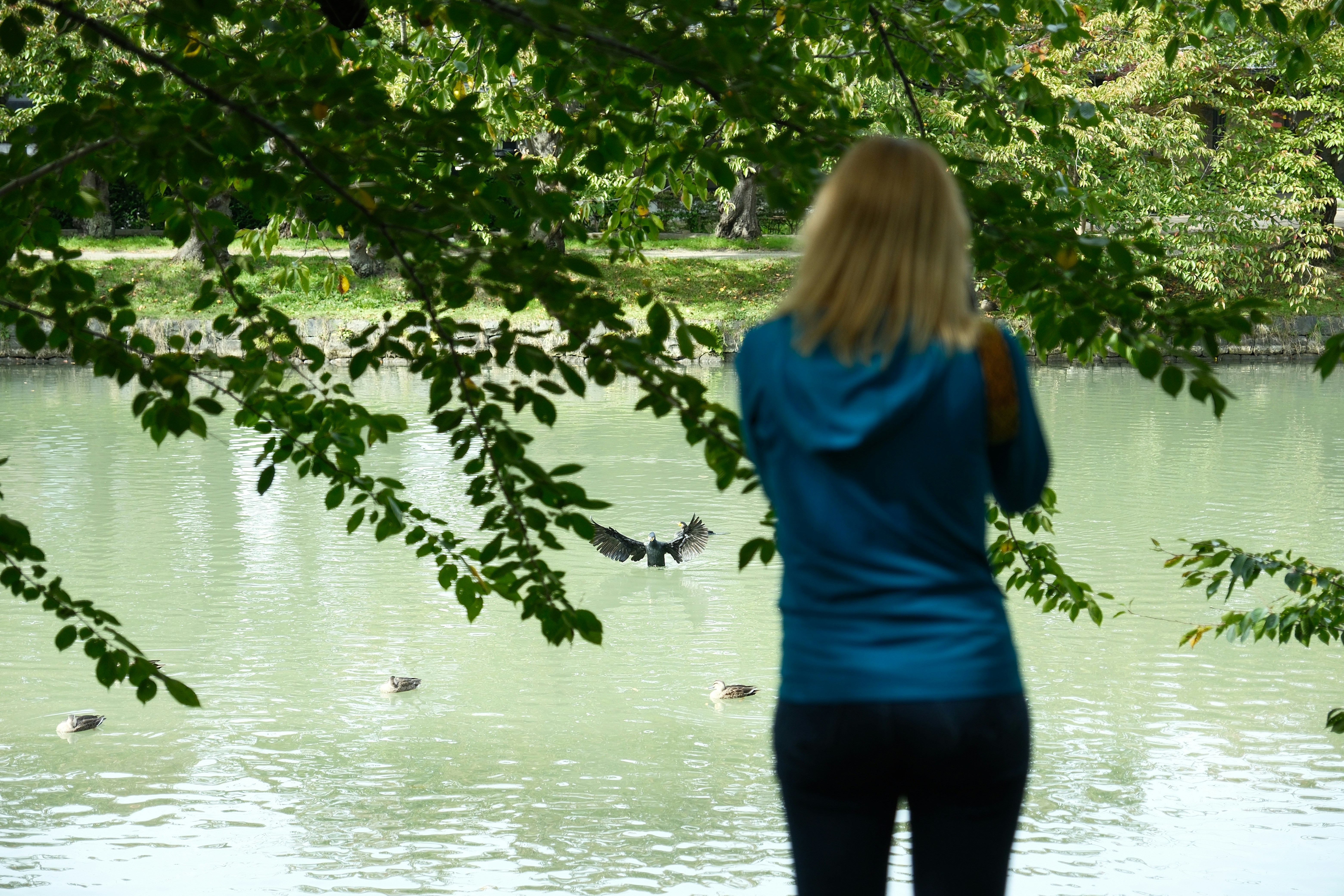 Photo by seiya_maeda