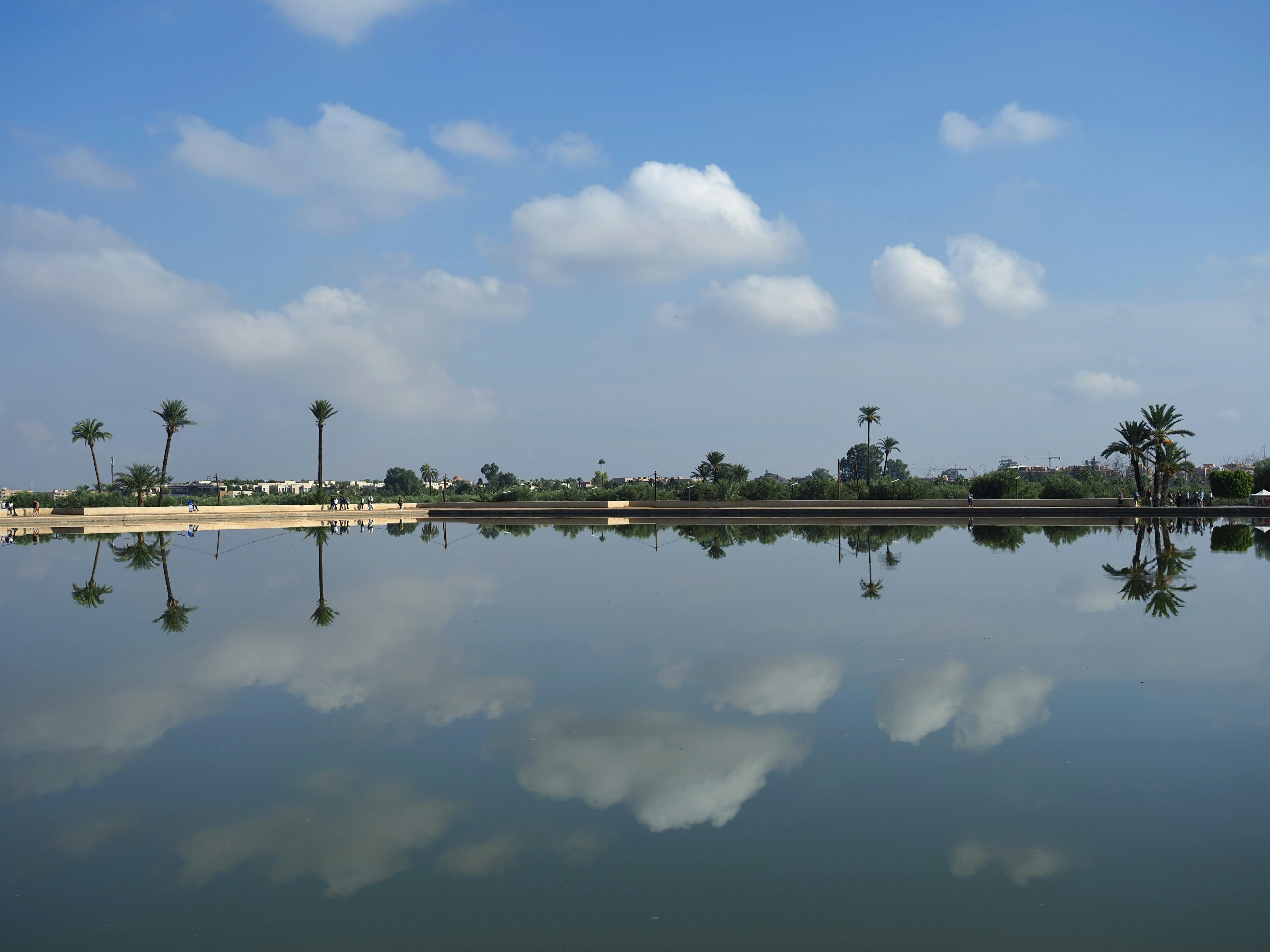 A body of water surrounded by palm trees