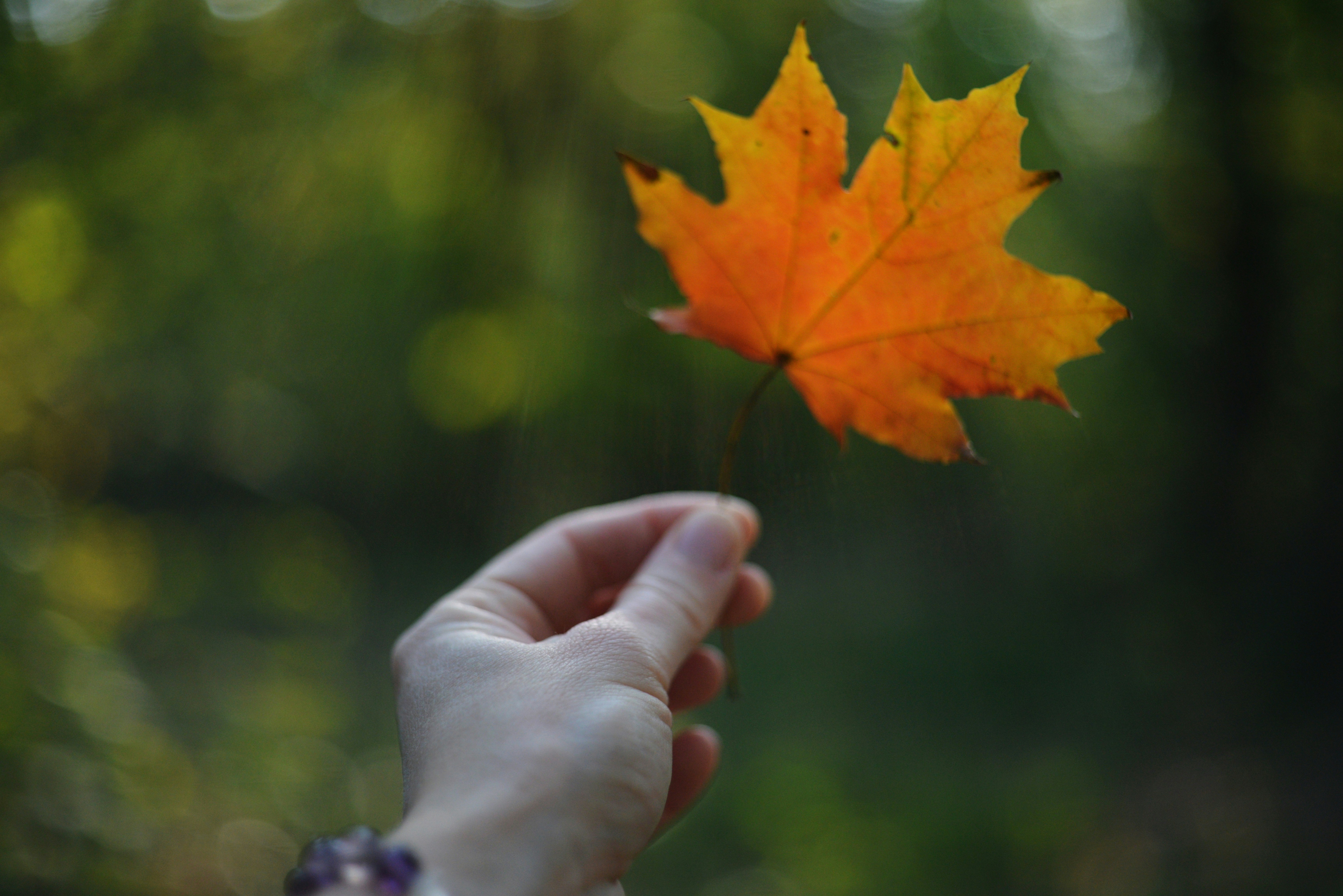 Photo by cherstve_pechivo