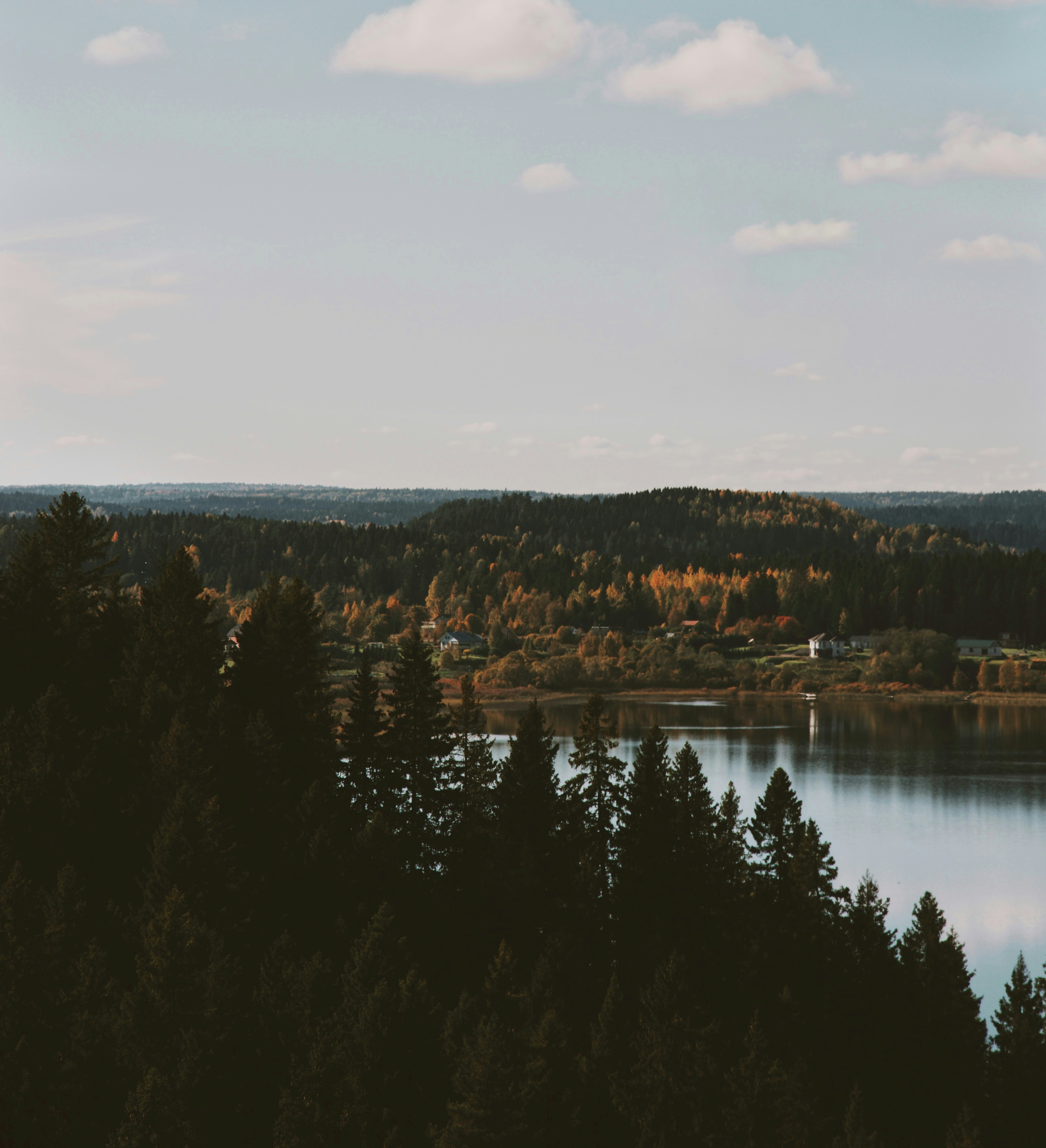 Photo by mrstupachenko