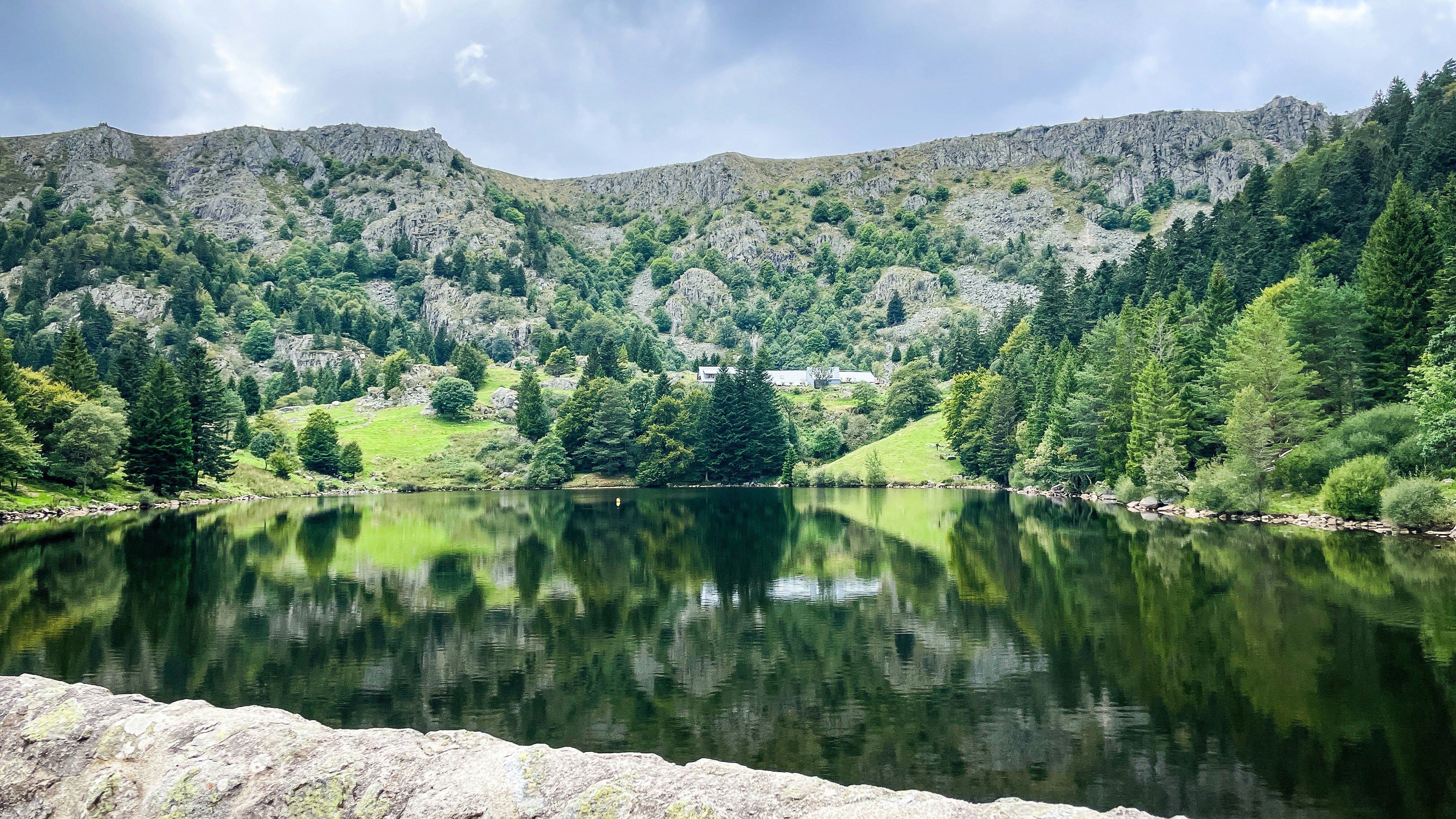 A large body of water surrounded by a forest