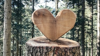 A heart - shaped piece of wood on a tree stump in a forest