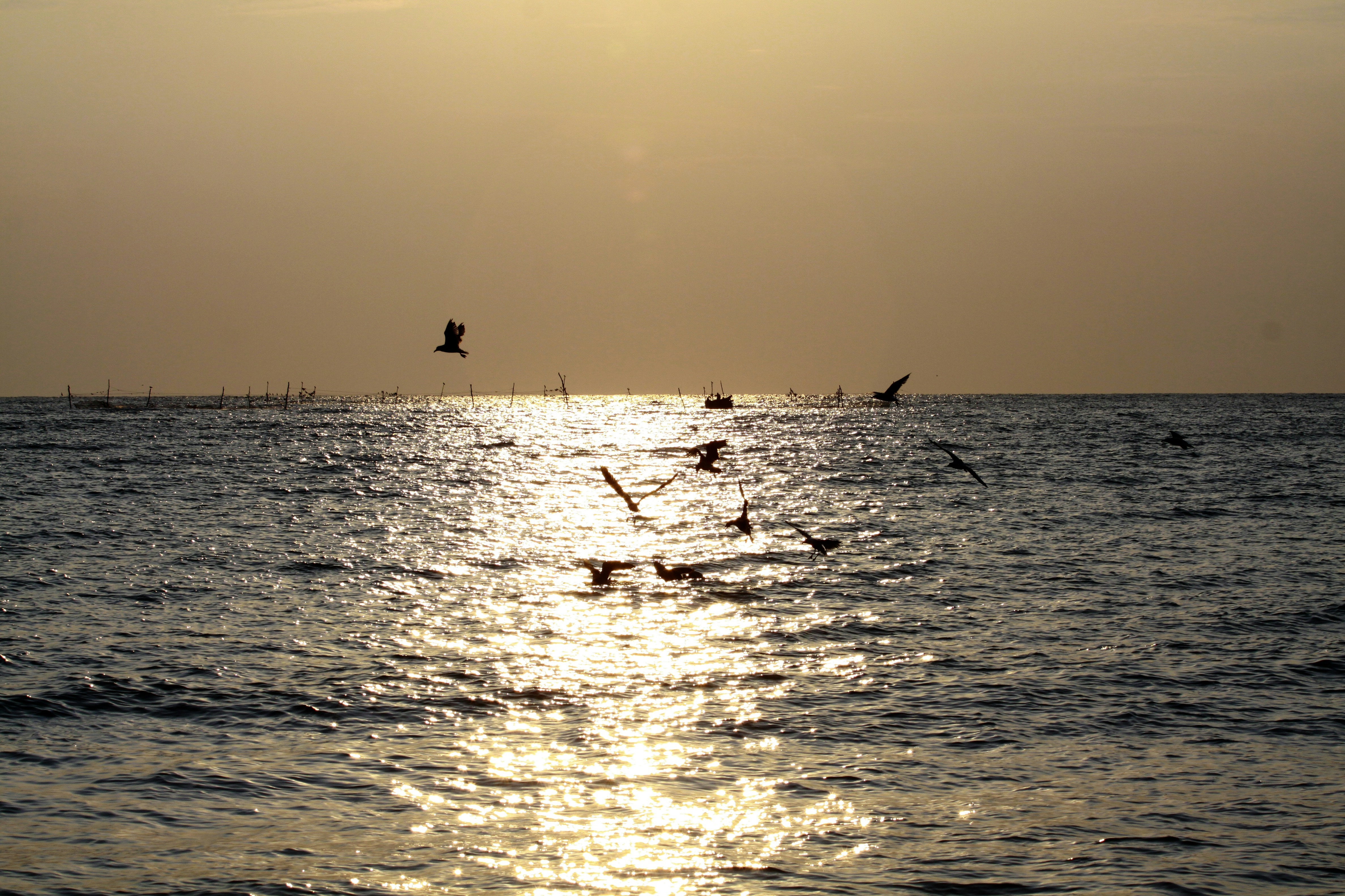 Photo by andreitipurita