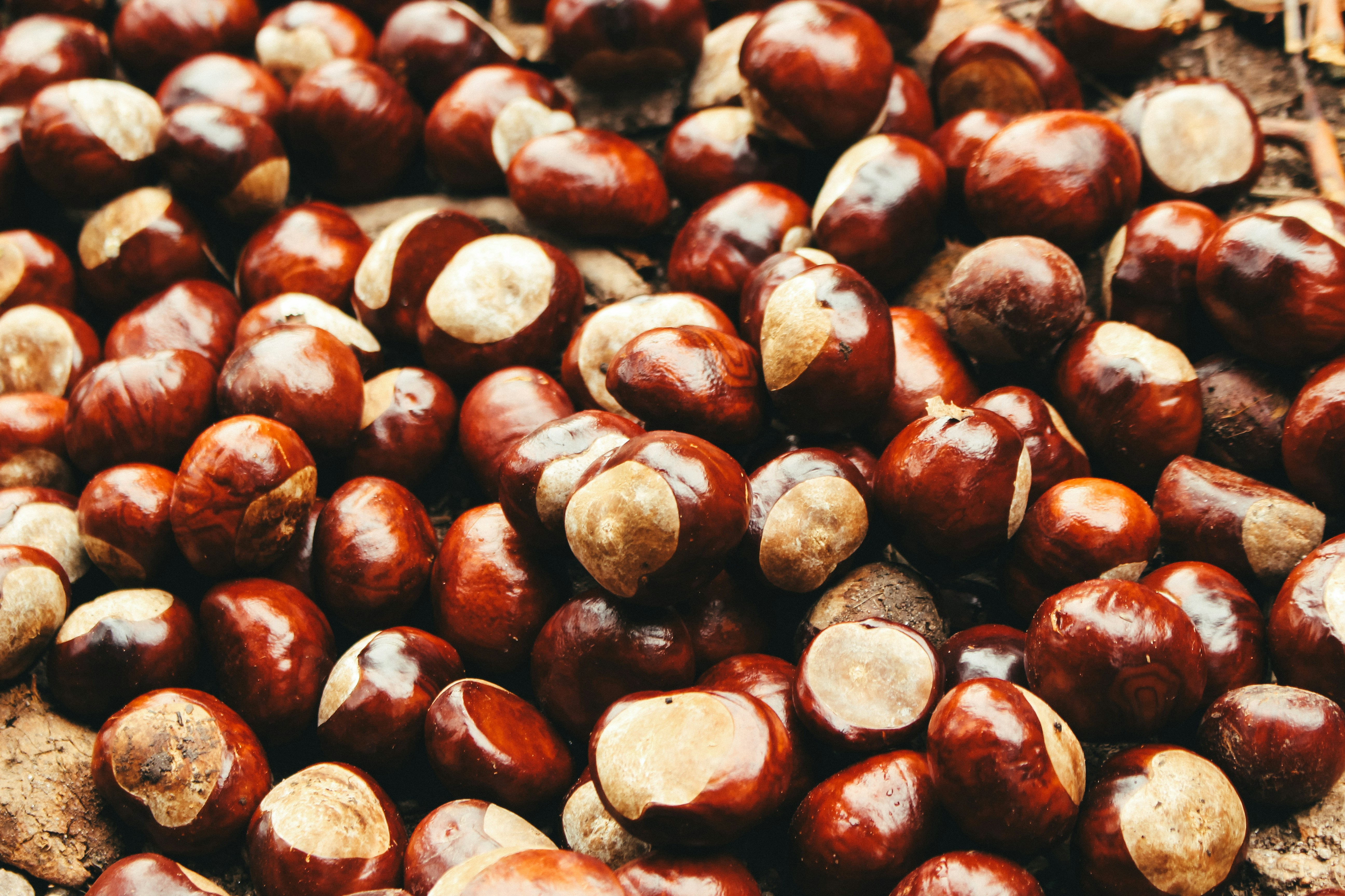 A pile of chestnuts sitting on top of a wooden table