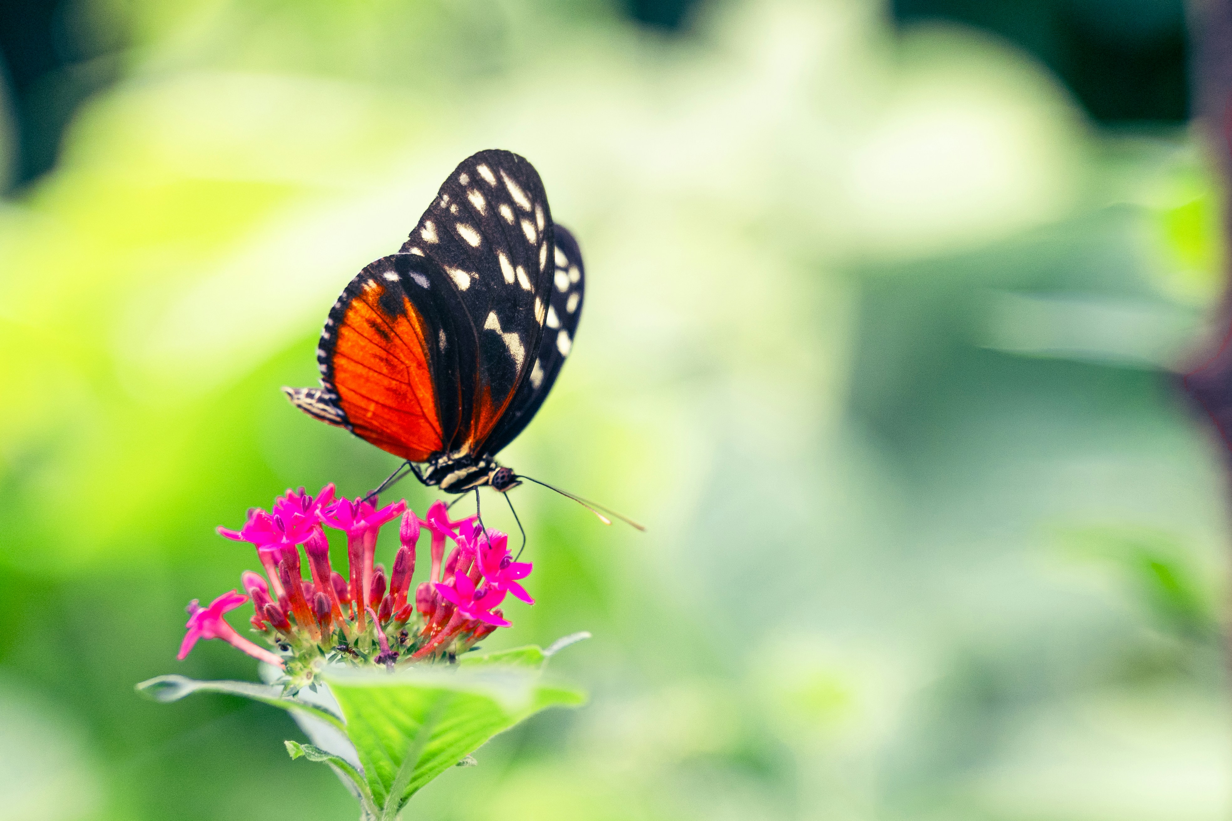 Photo by pauleinerhand