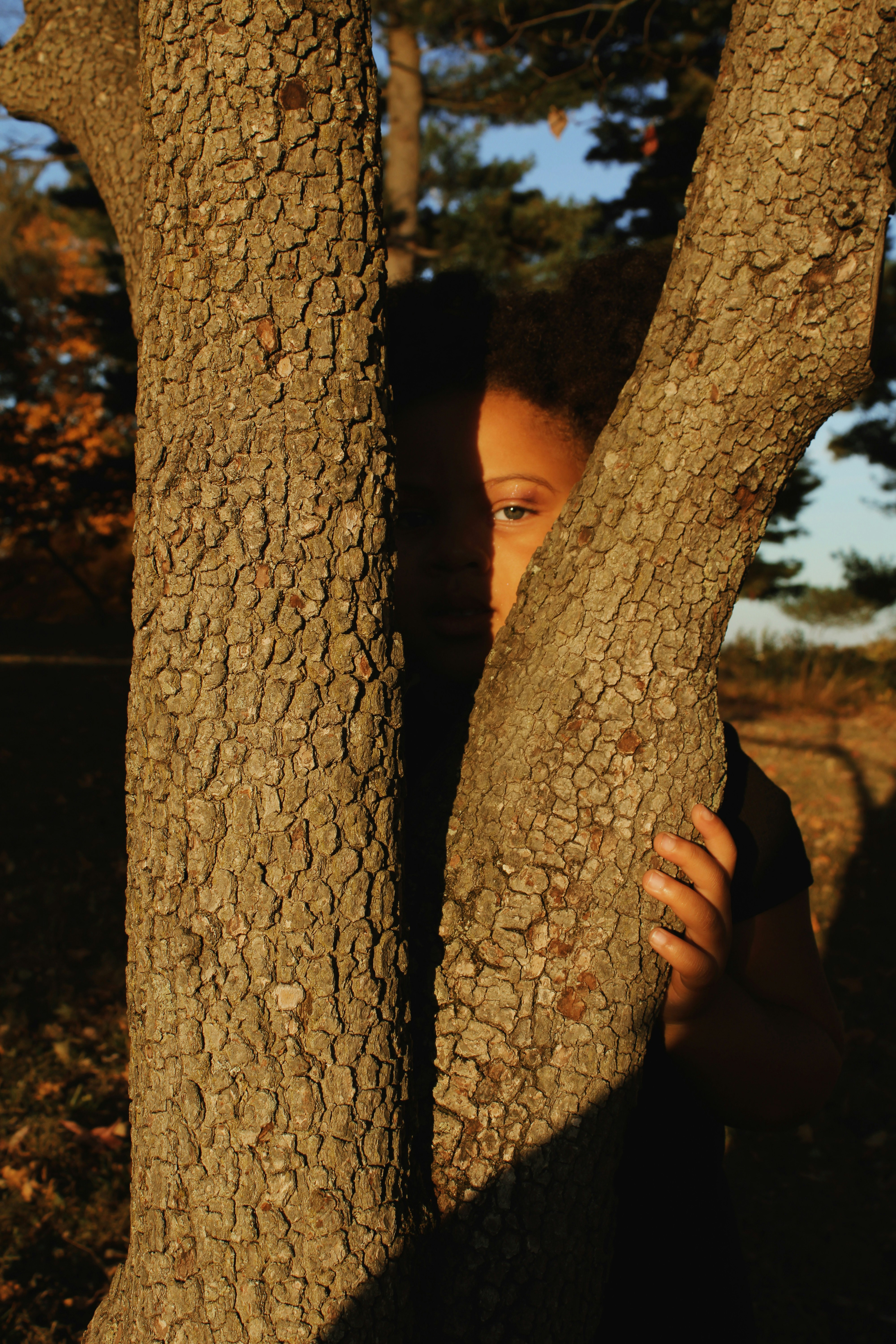 A girl peeking out from behind a tree