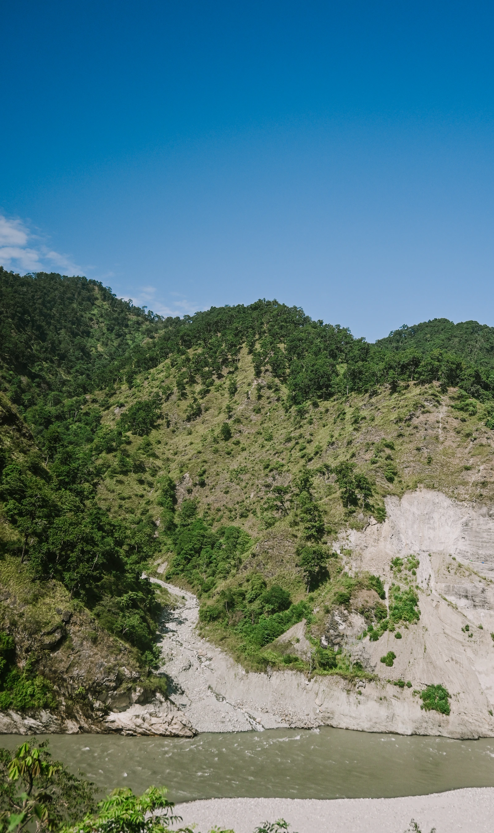 The Teesta running grey green past a pale sandbank below steep scrub covered hills in Sikkim