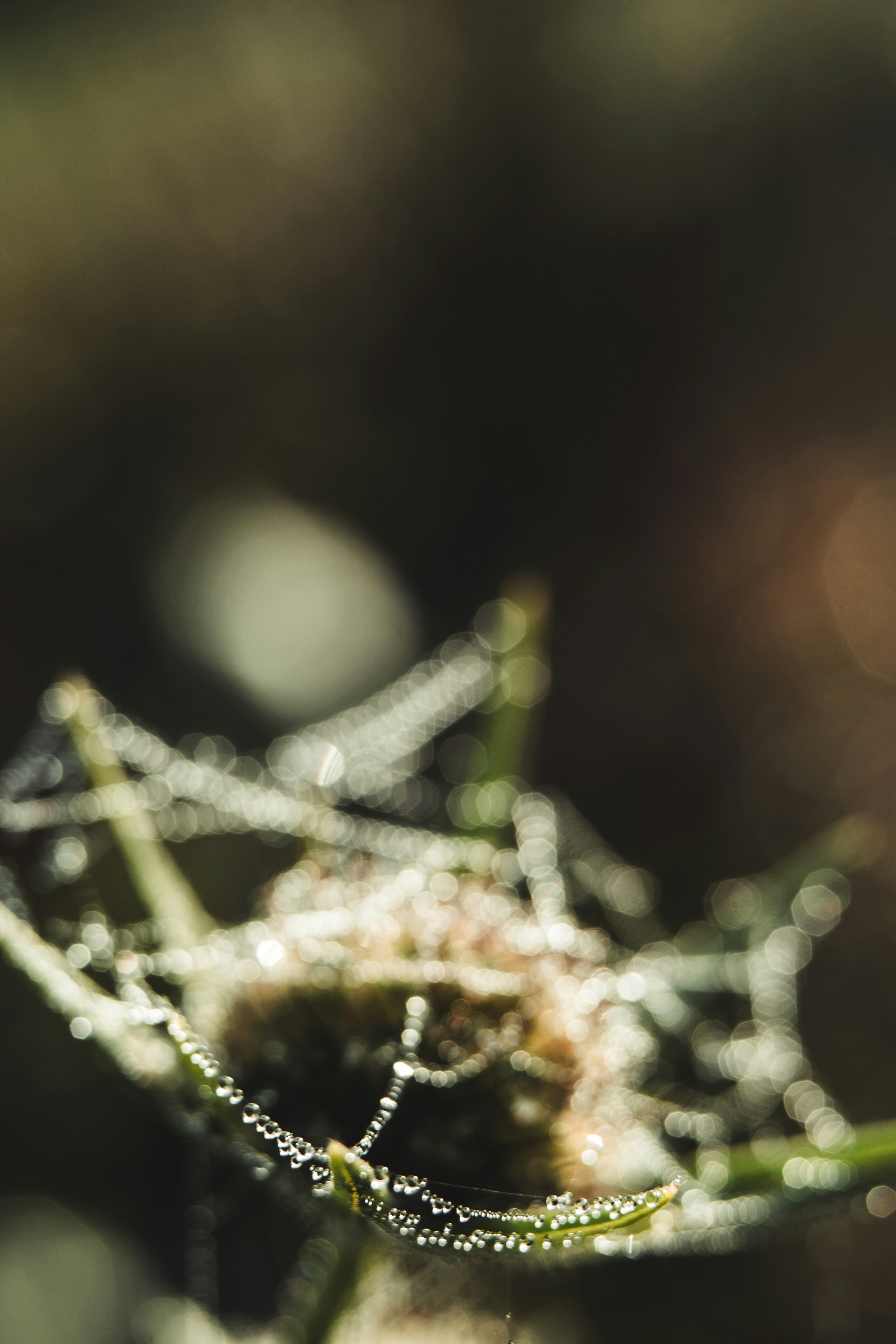 Photo by dermanuskript