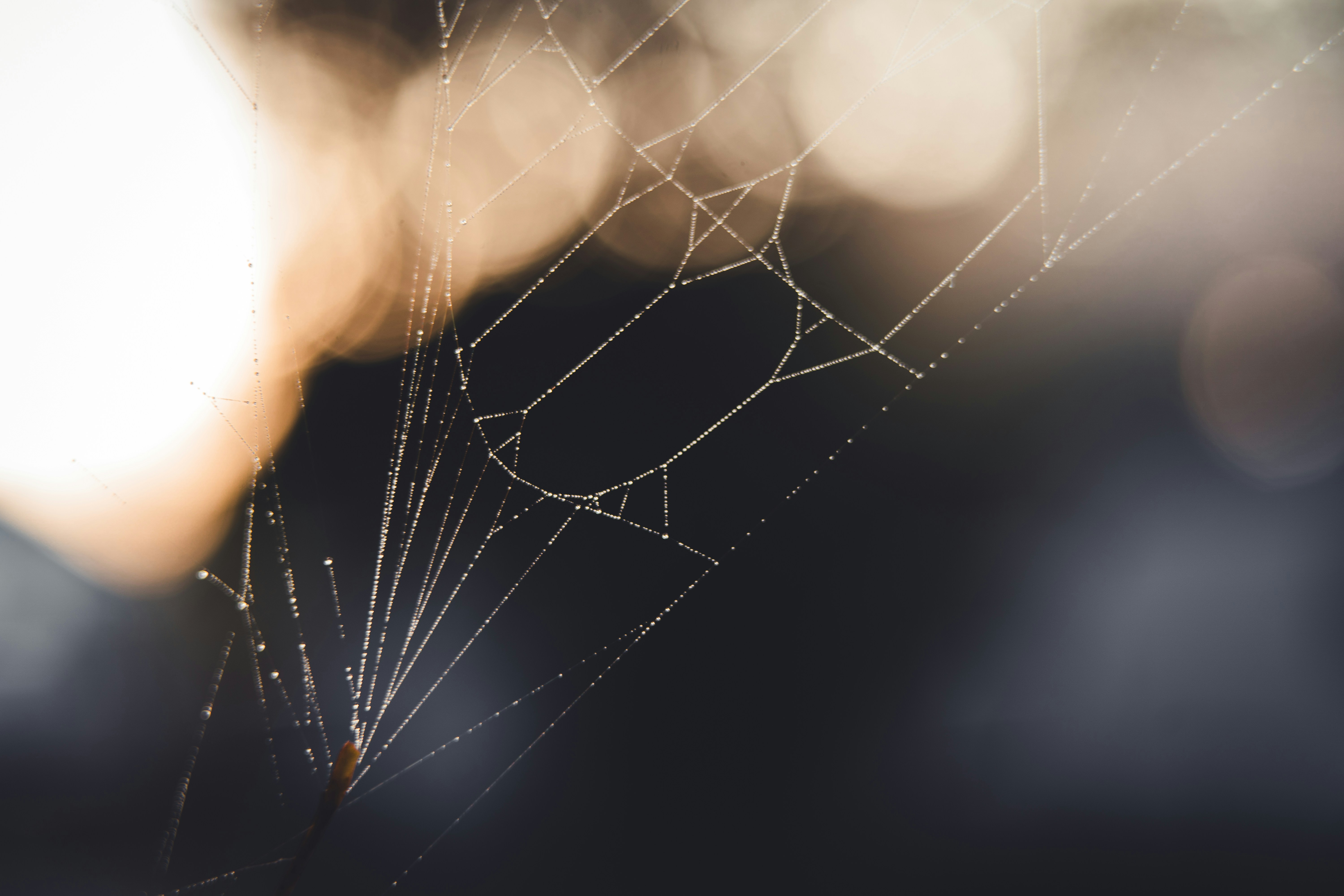 Photo by dermanuskript