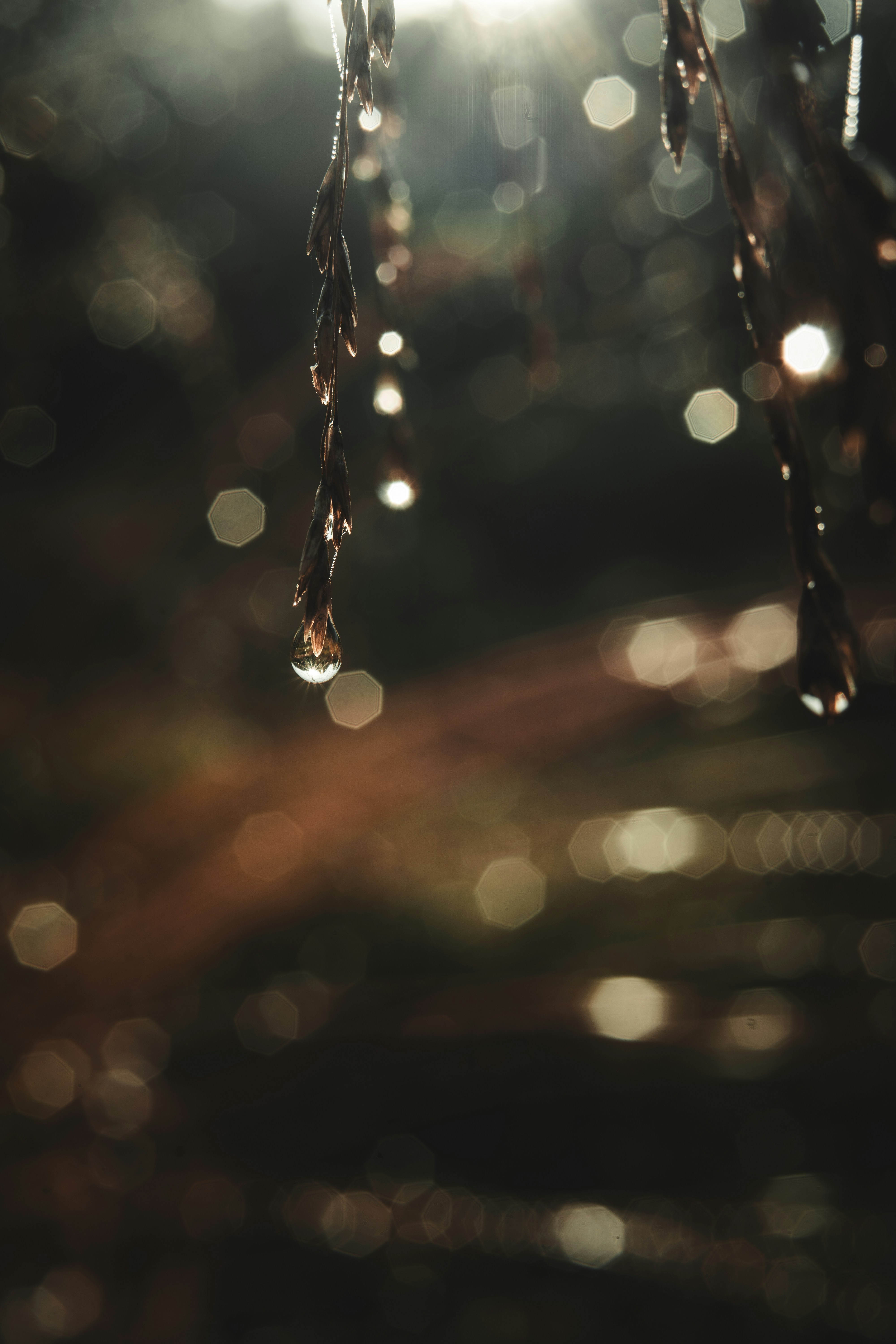 Photo by dermanuskript