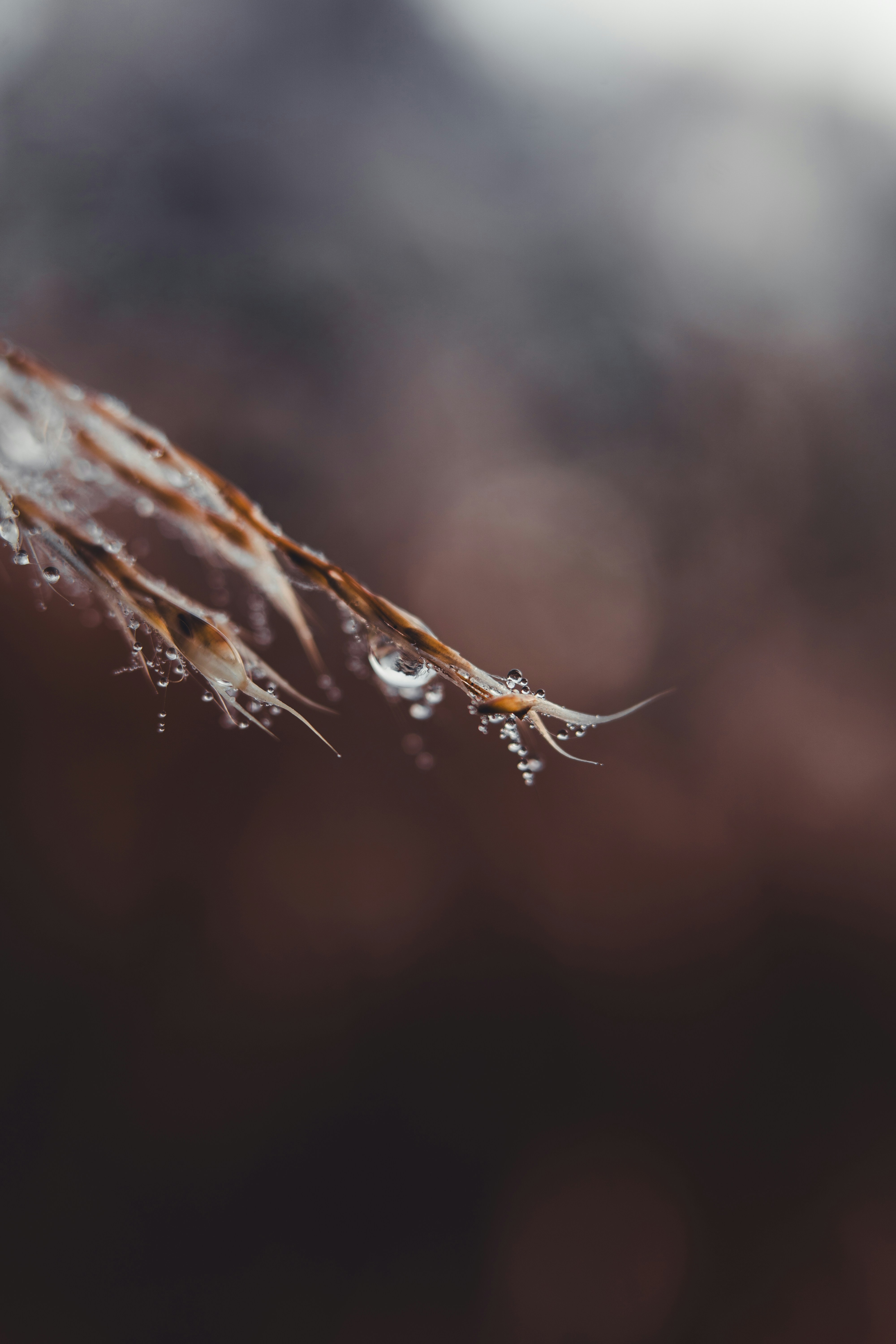 Photo by dermanuskript