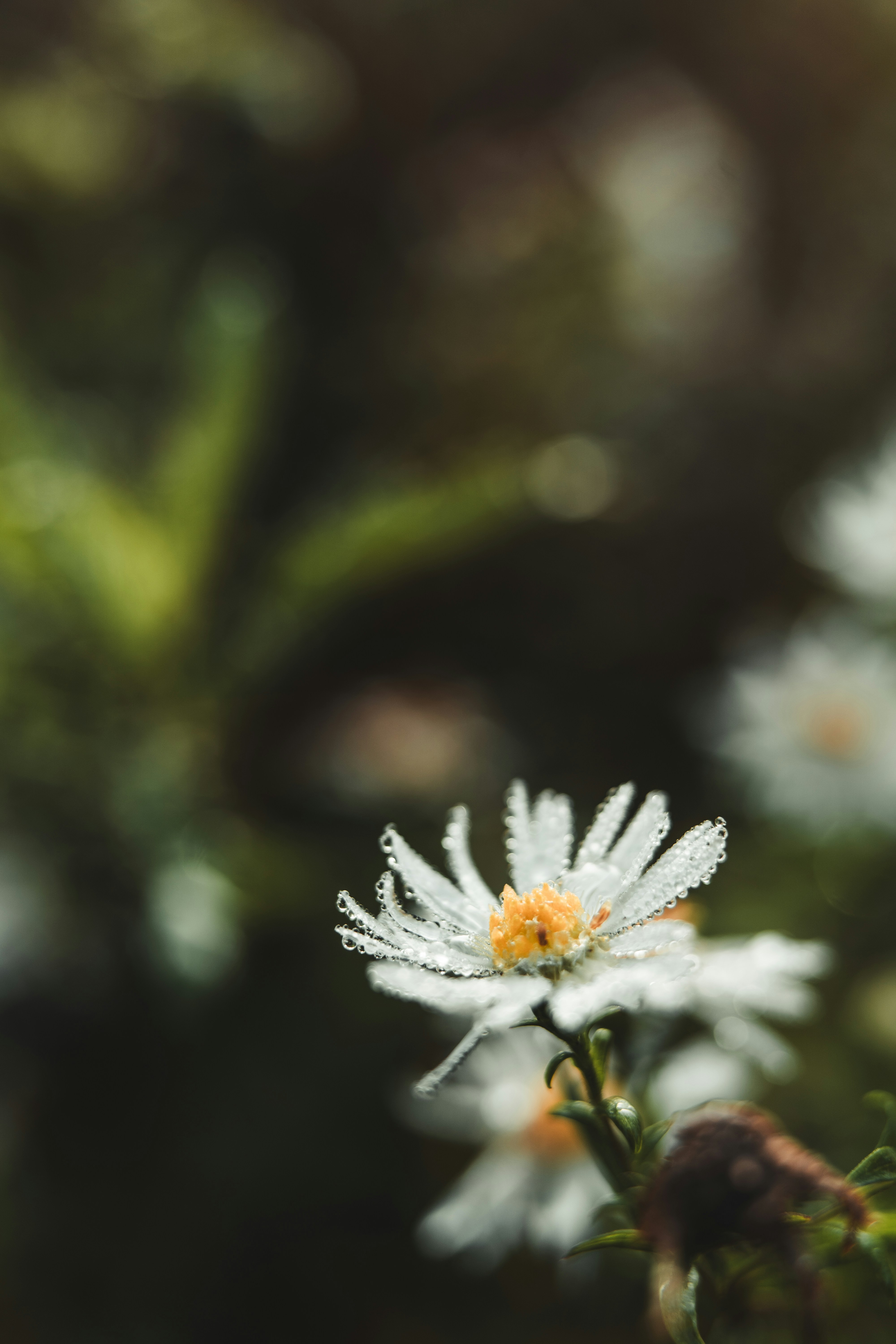 Photo by dermanuskript