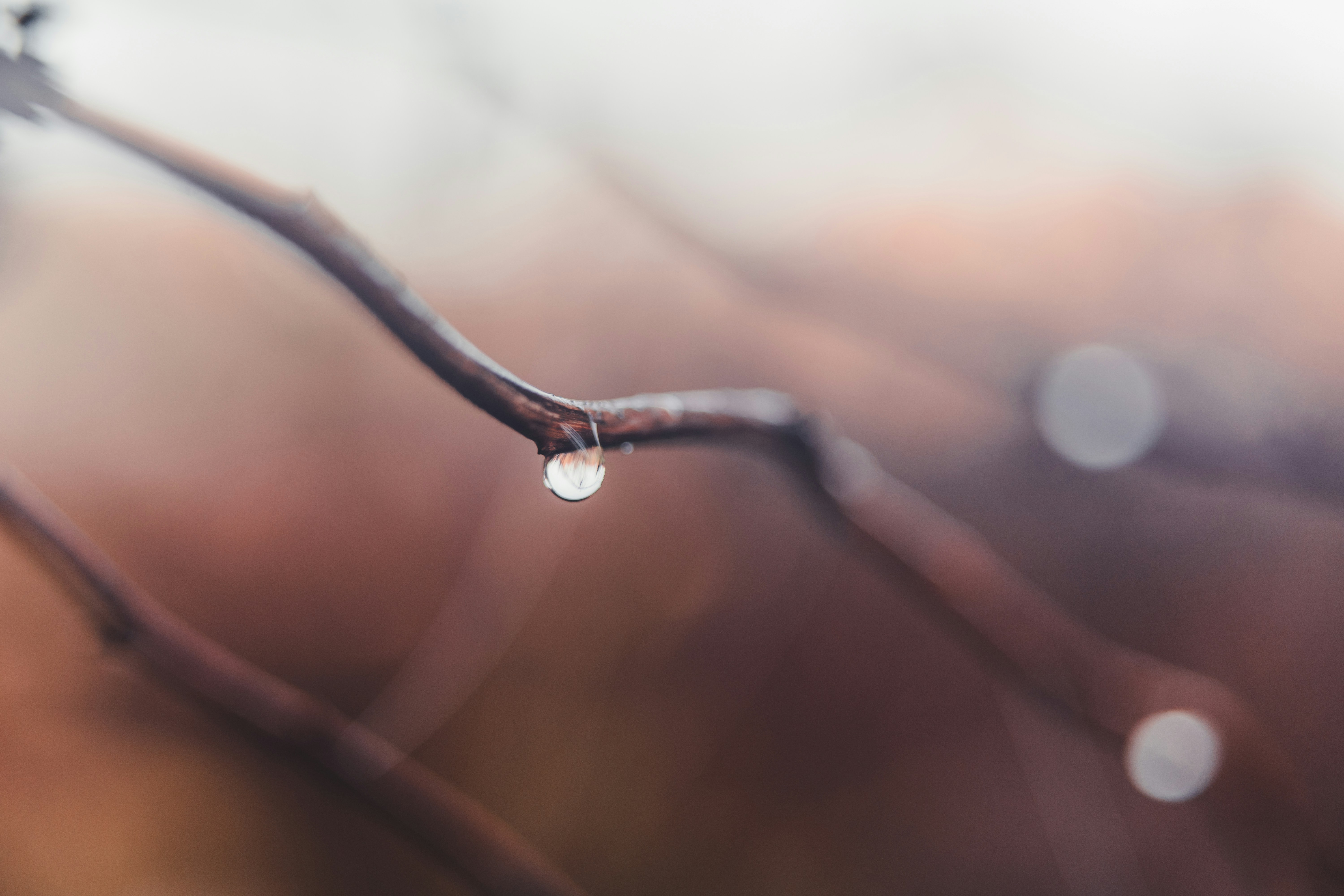 Photo by dermanuskript