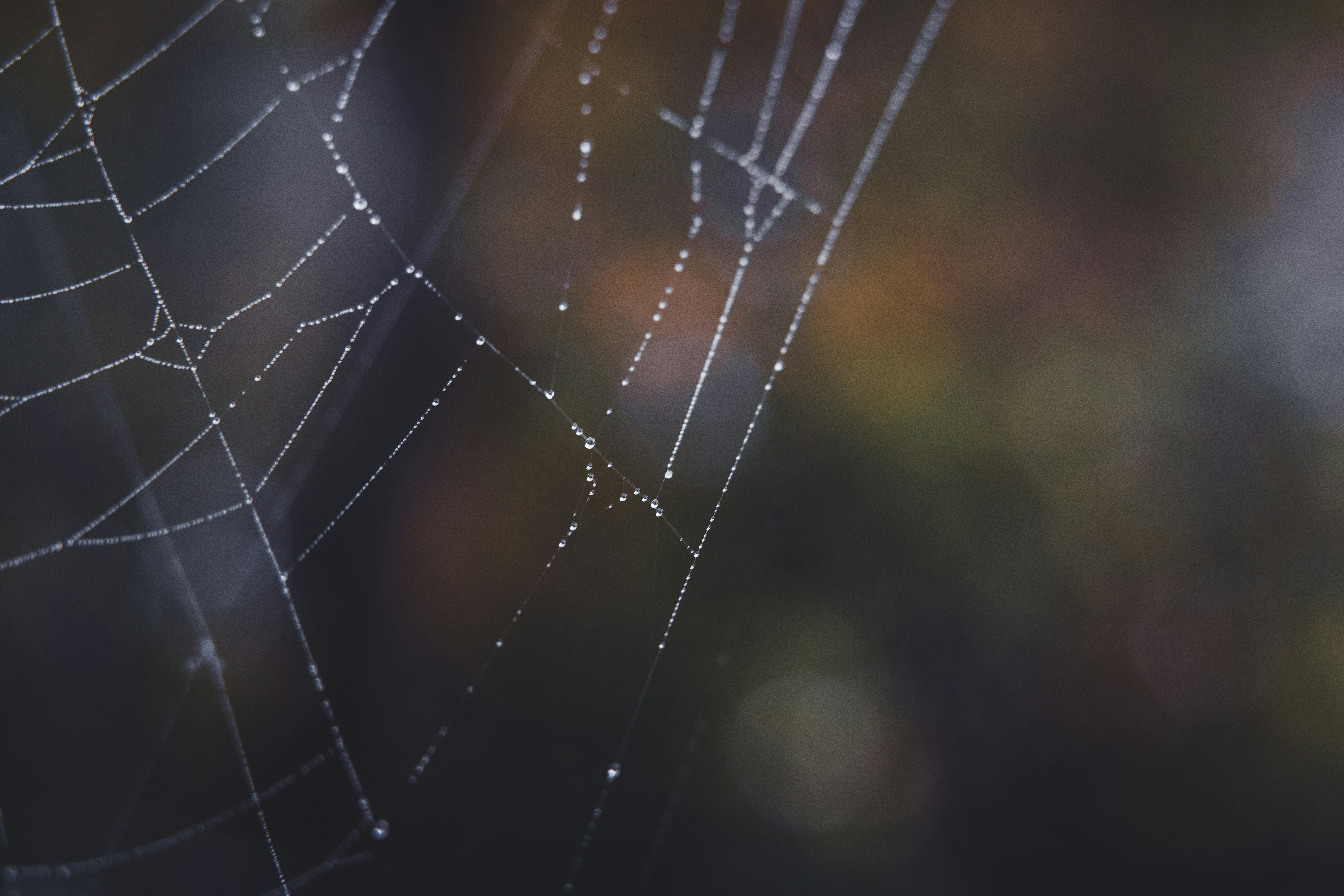 Photo by dermanuskript