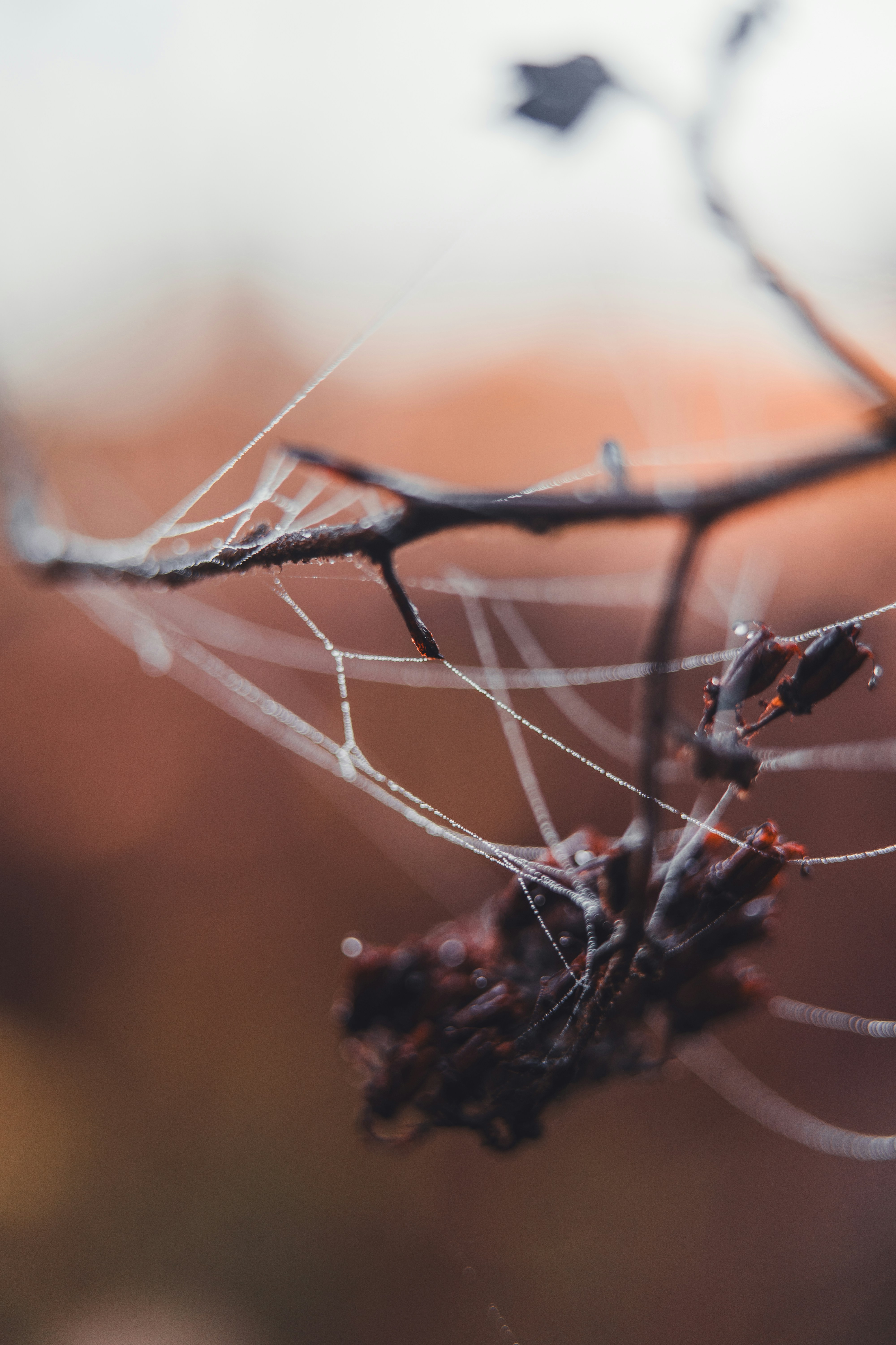 Photo by dermanuskript