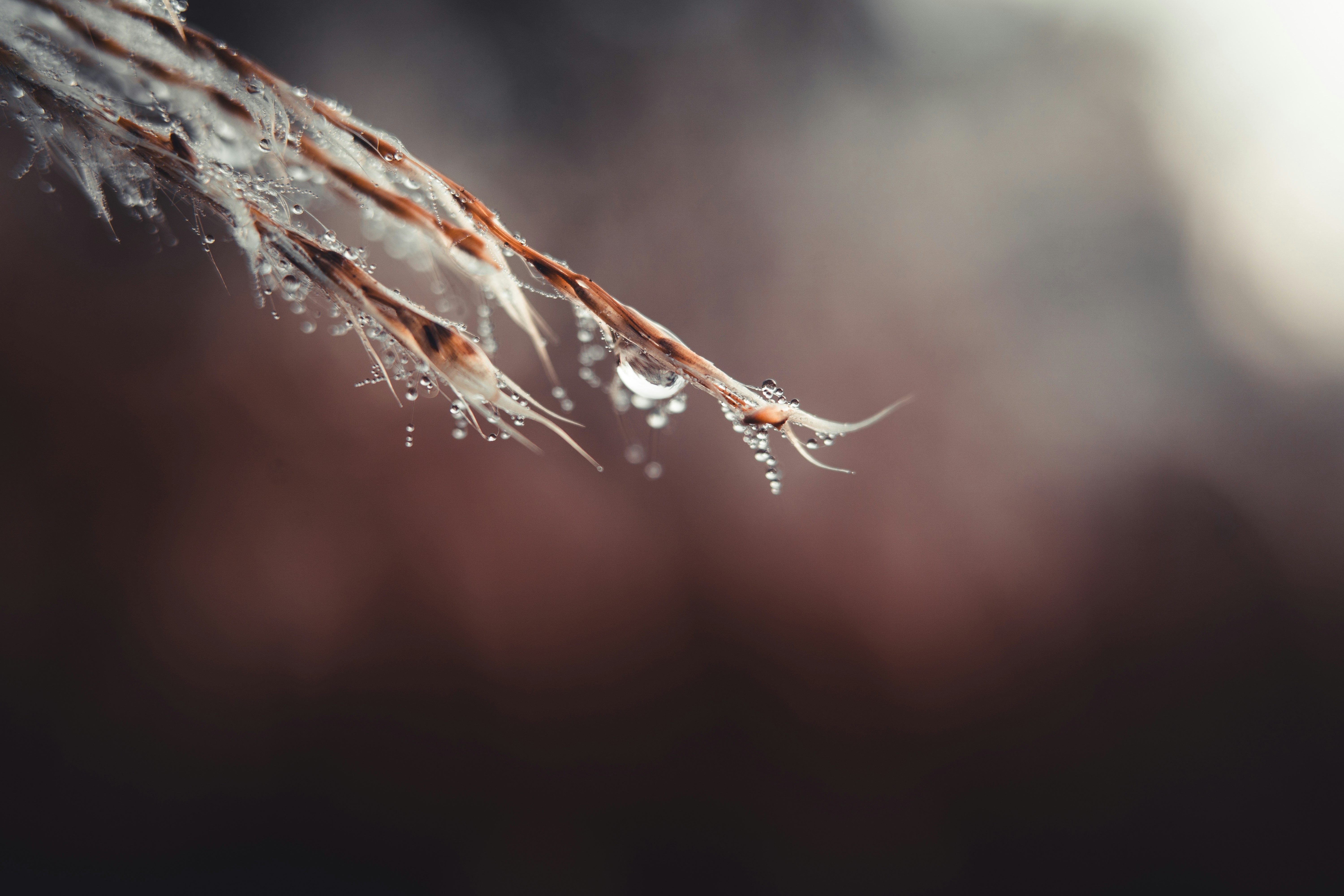 Photo by dermanuskript