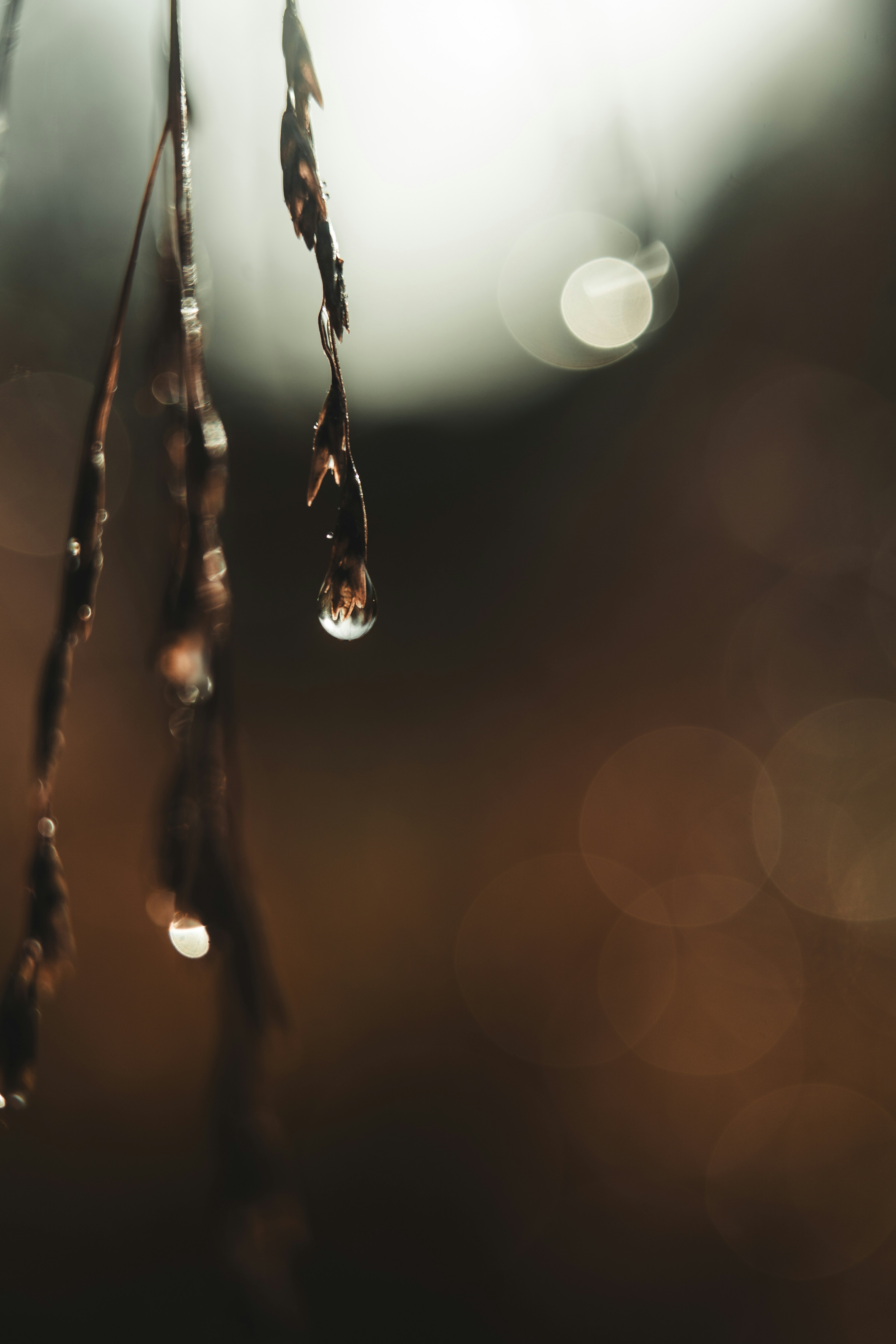 Photo by dermanuskript