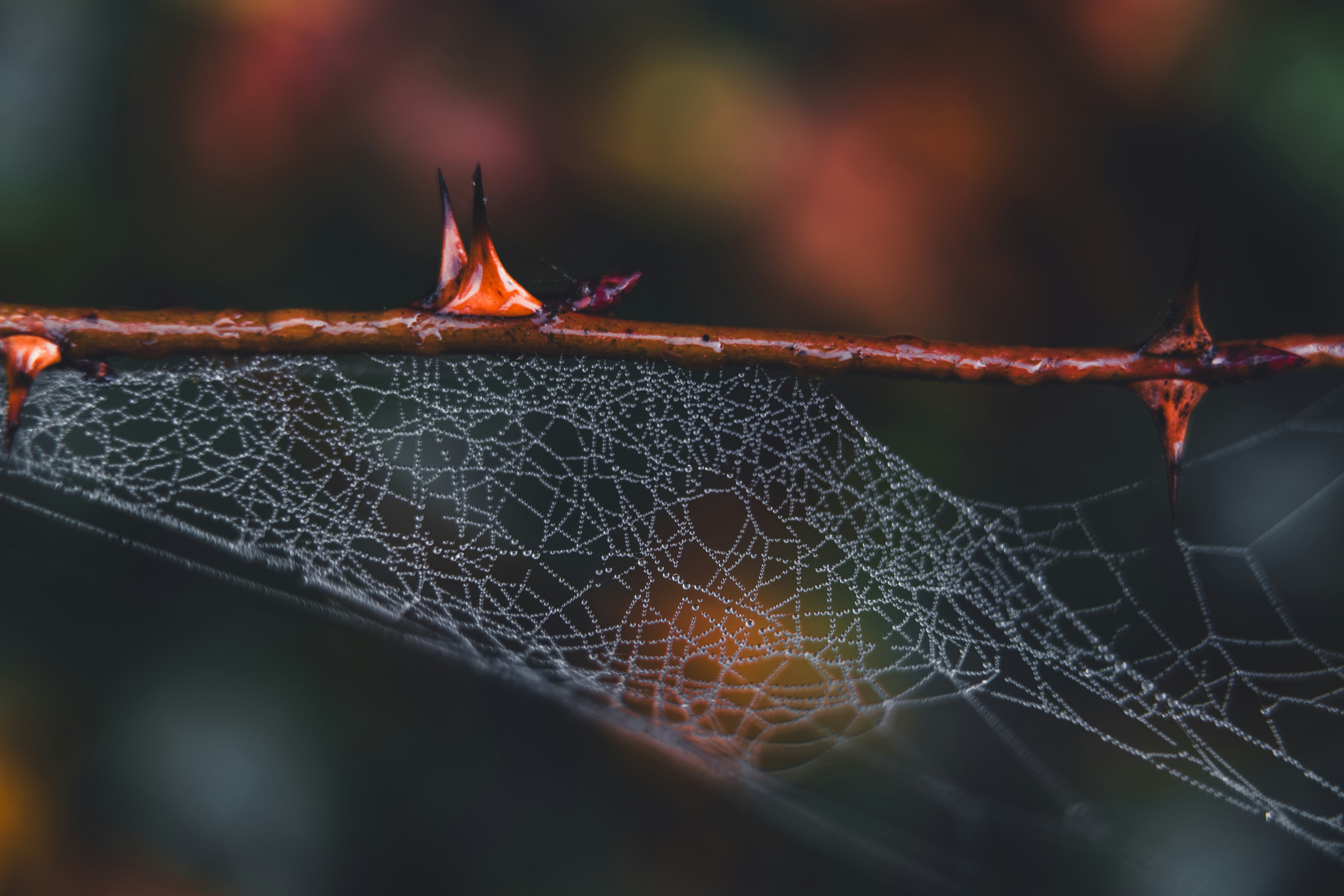 Photo by dermanuskript