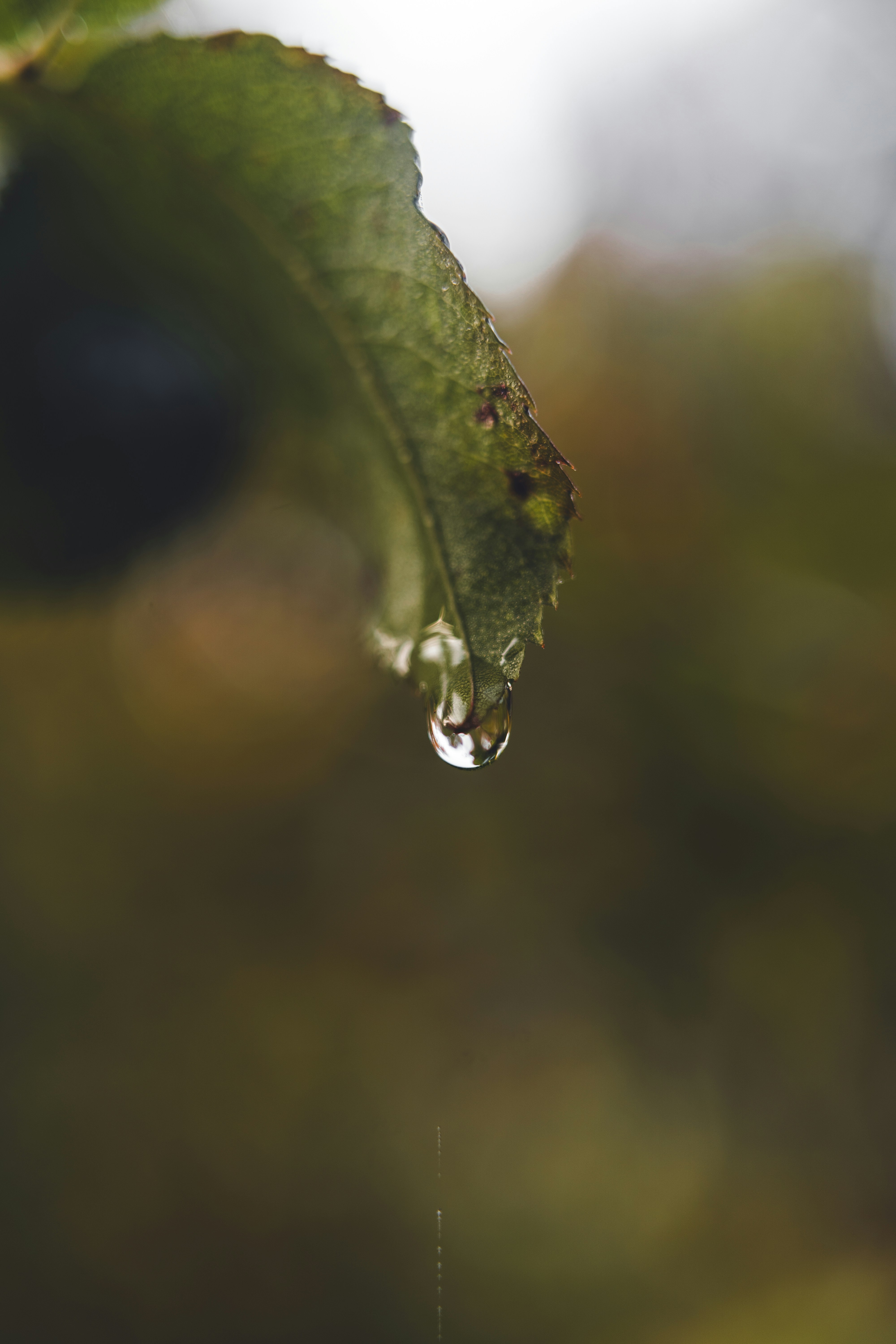 Photo by dermanuskript