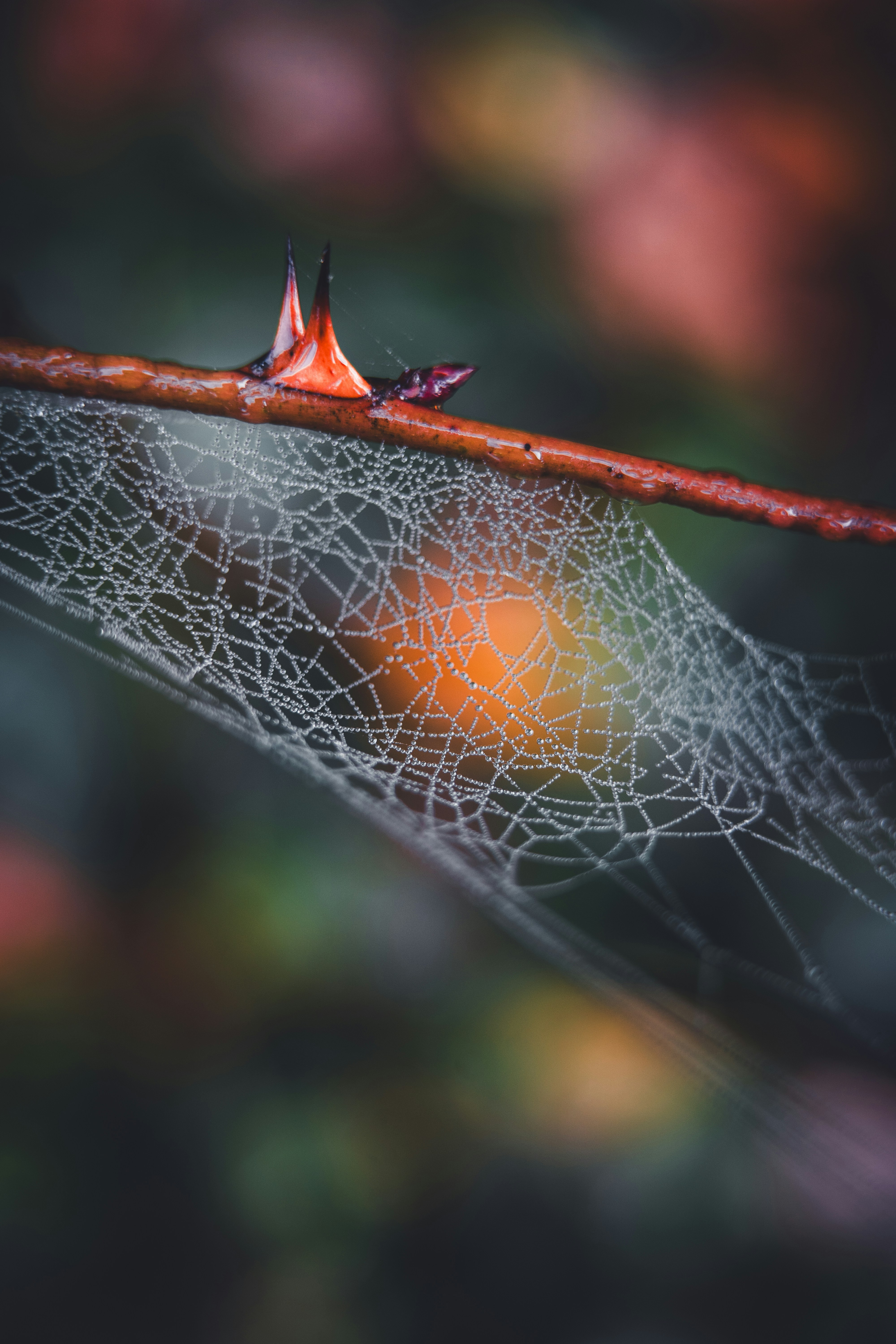 Photo by dermanuskript