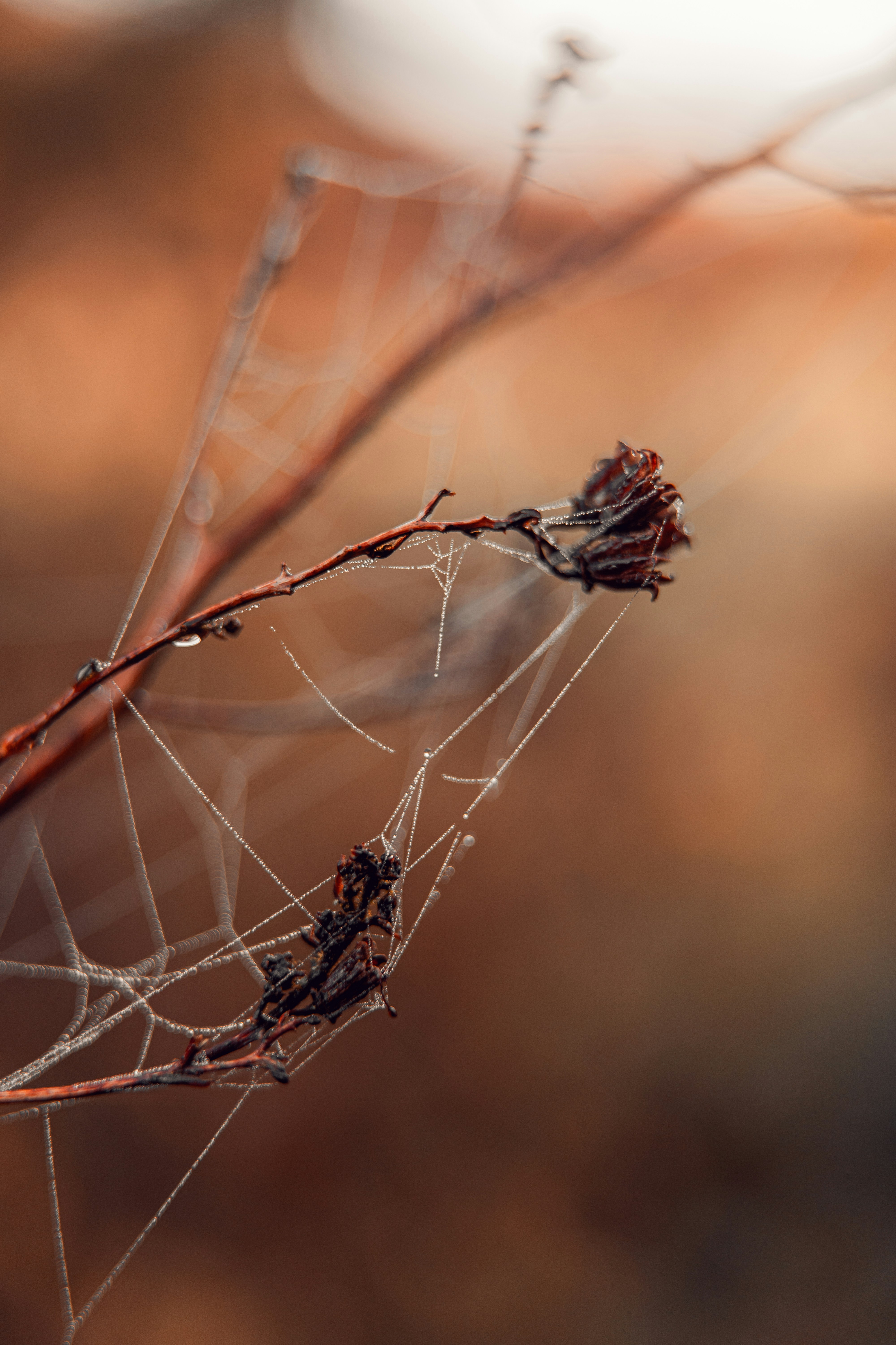 Photo by dermanuskript